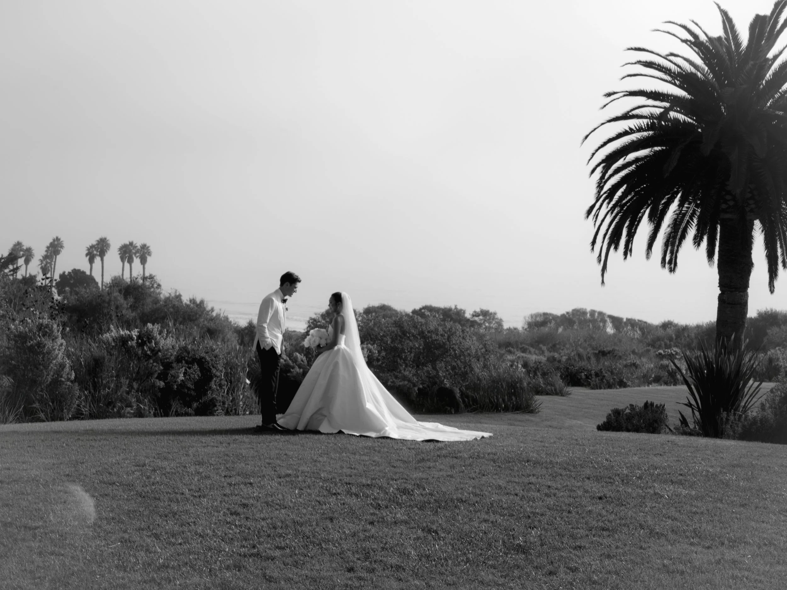 FIRSTLOOK00037.jpg