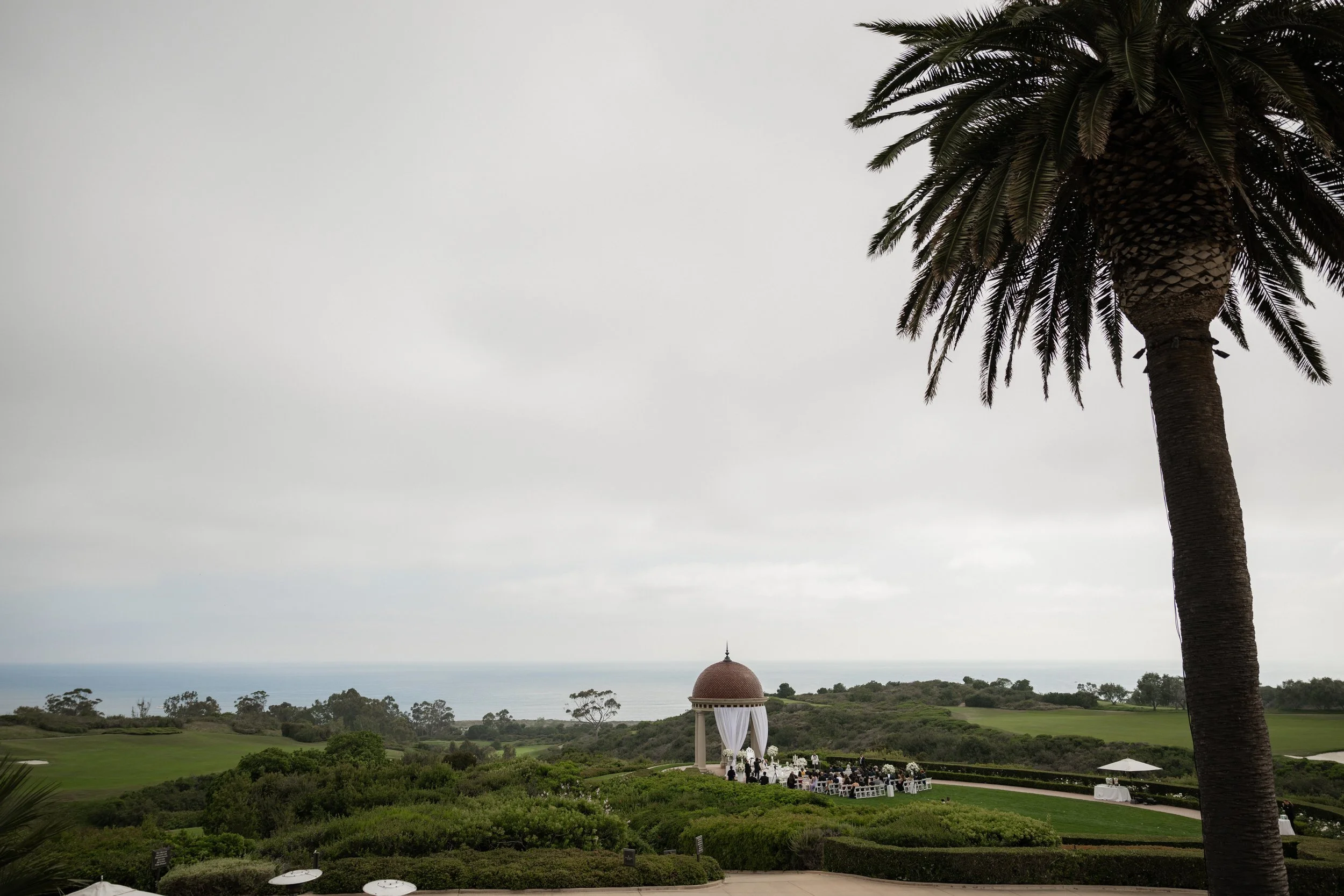 DSC_4781.jpg