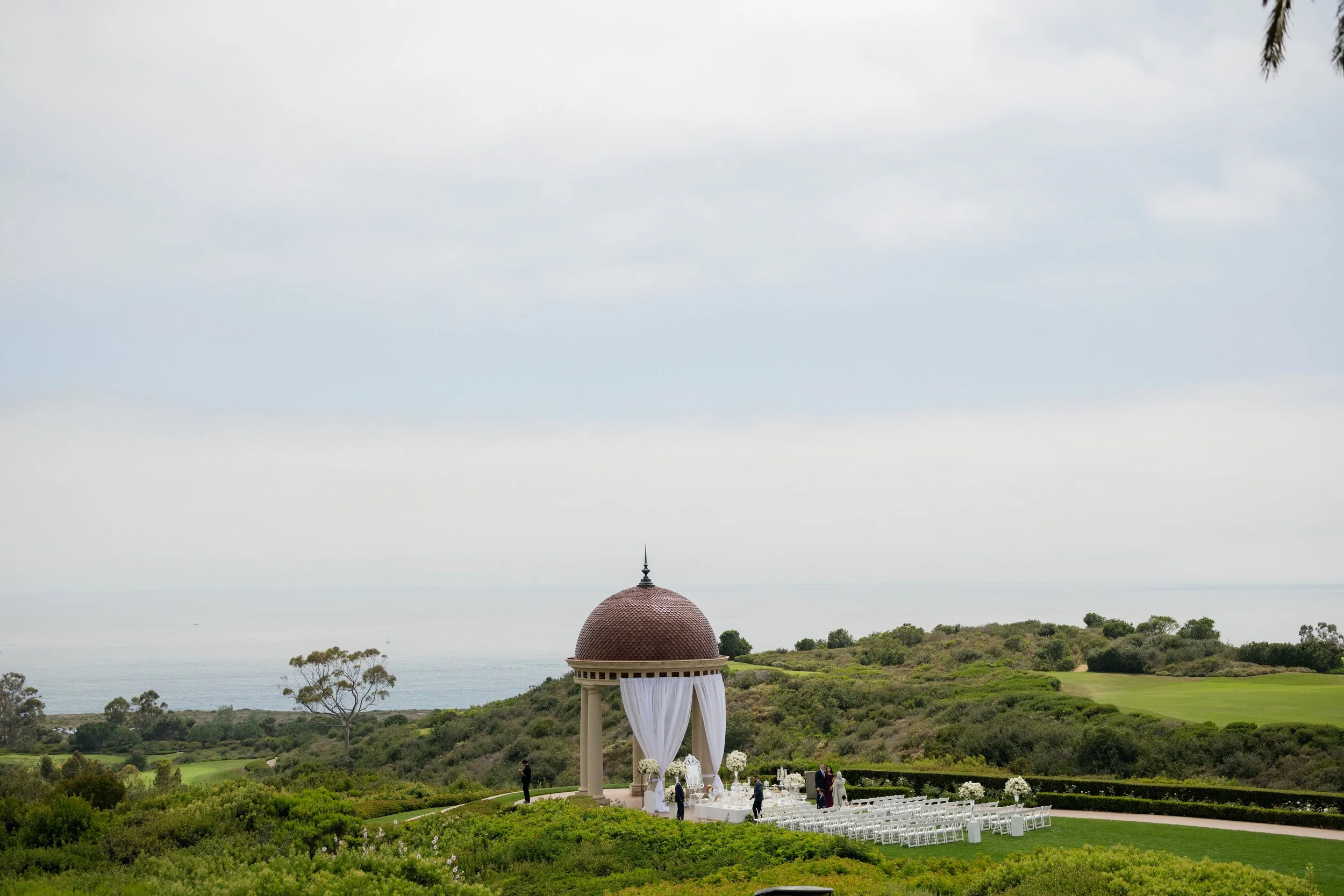 DSC_3764.jpg