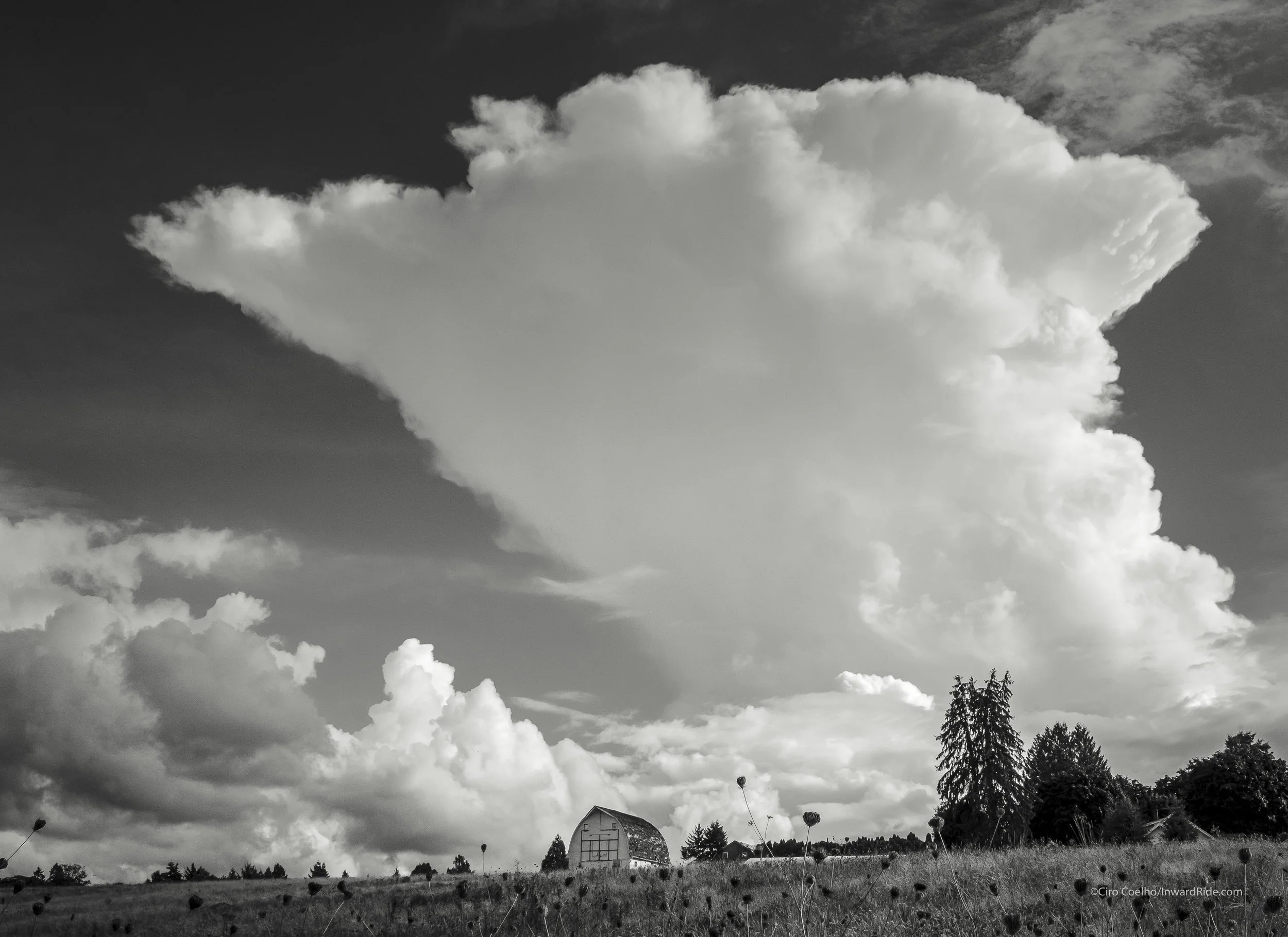 At The Threshold of Longing