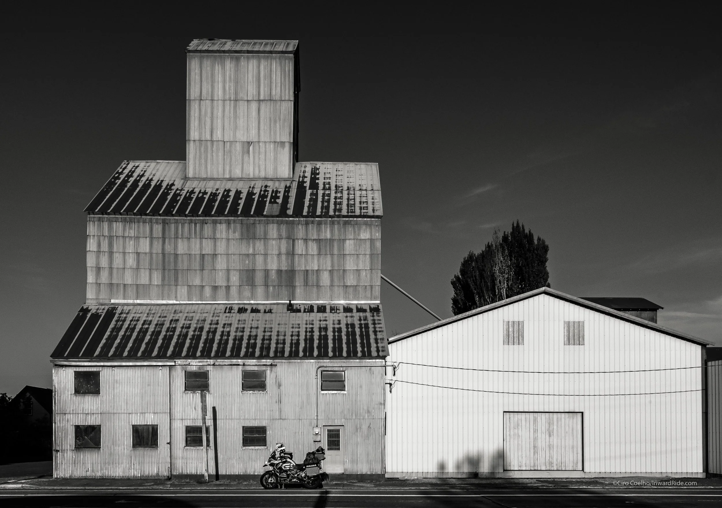 The Loyalty of Going Back