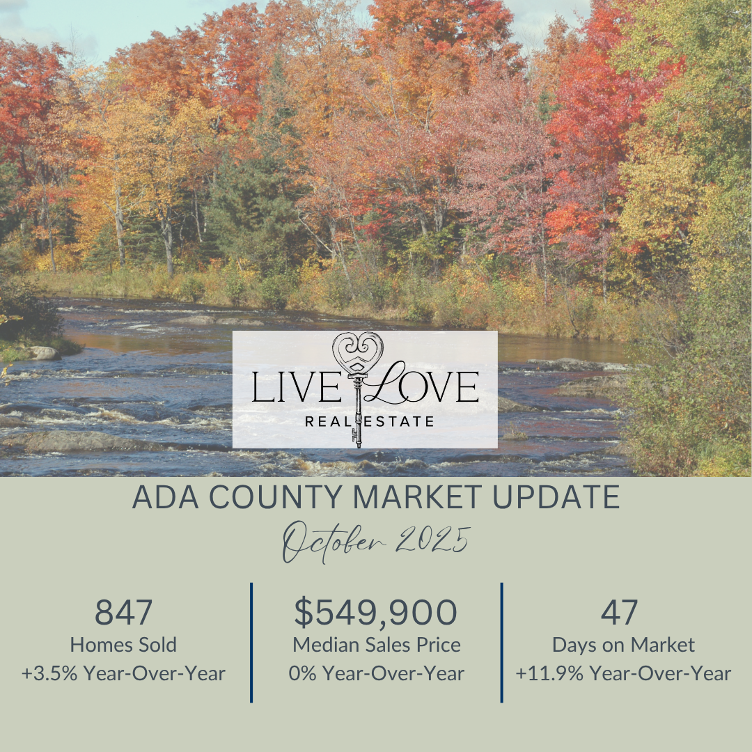 November 2025 Market Update
