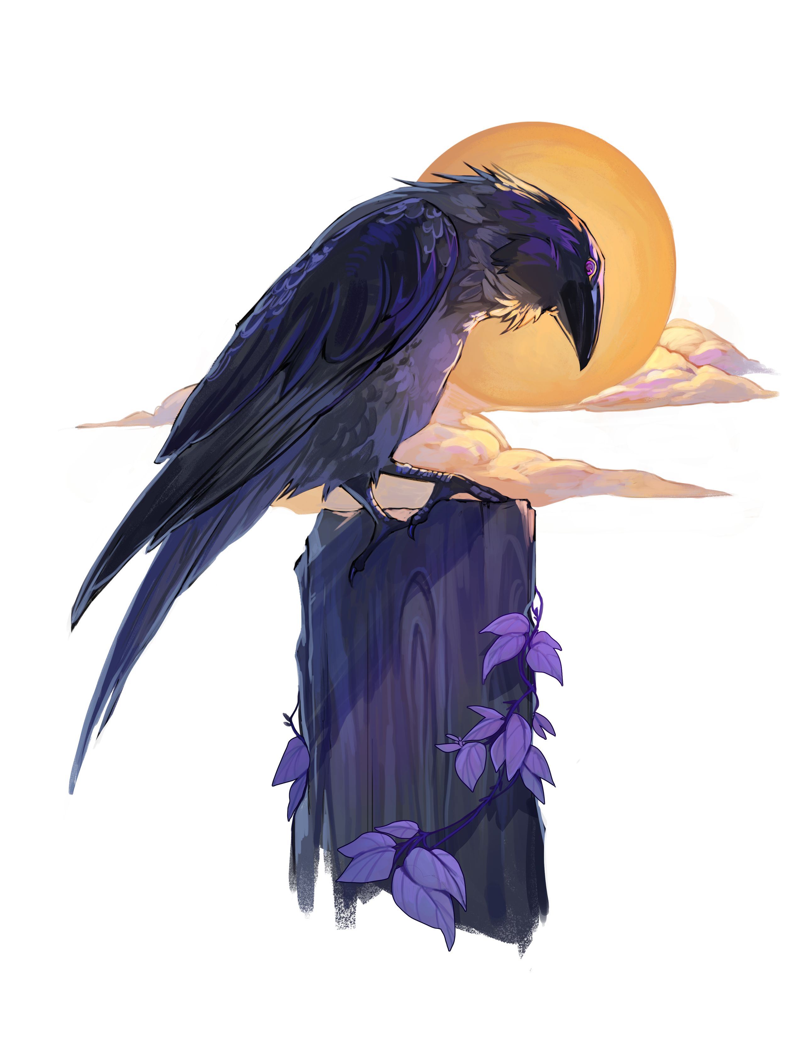 Pier One DesignColor.png