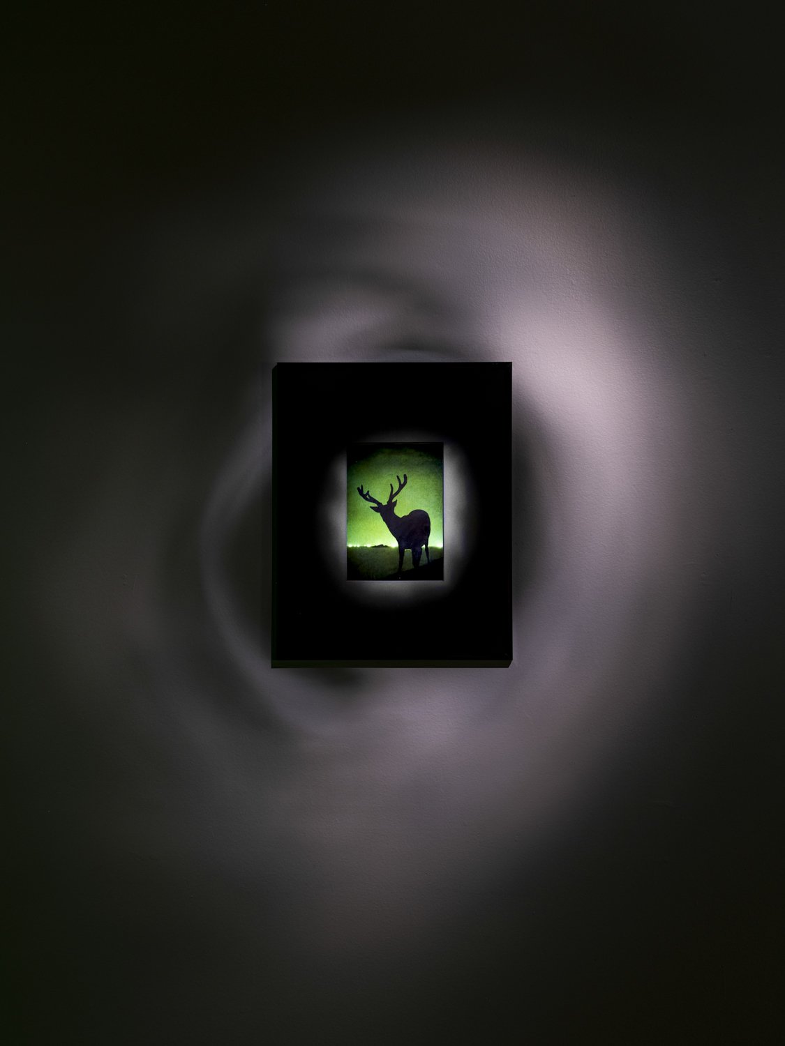 doc-eugene-11.jpg
