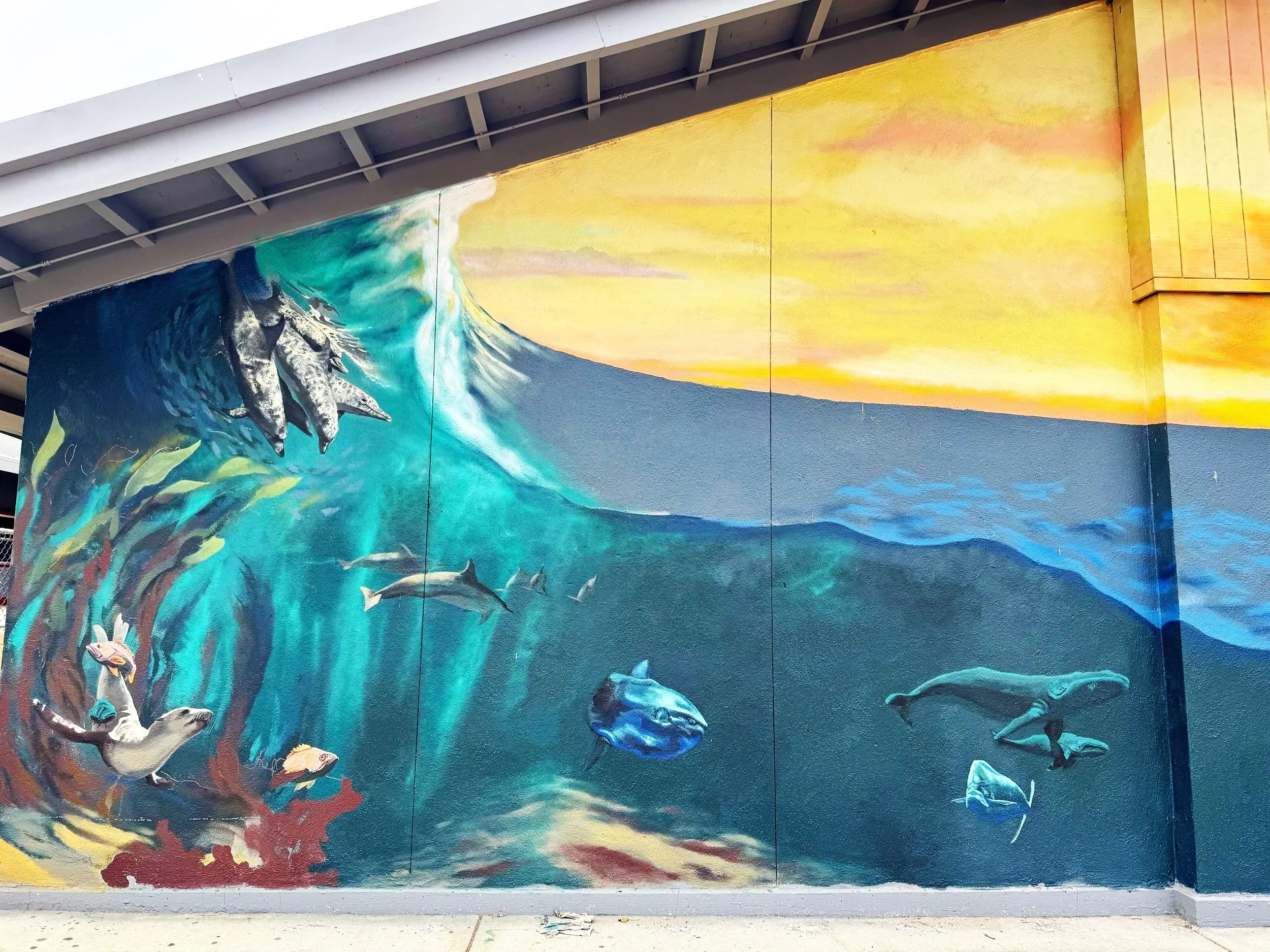 Mural collaboration with Hanif Panni, located in Monterey, CA.