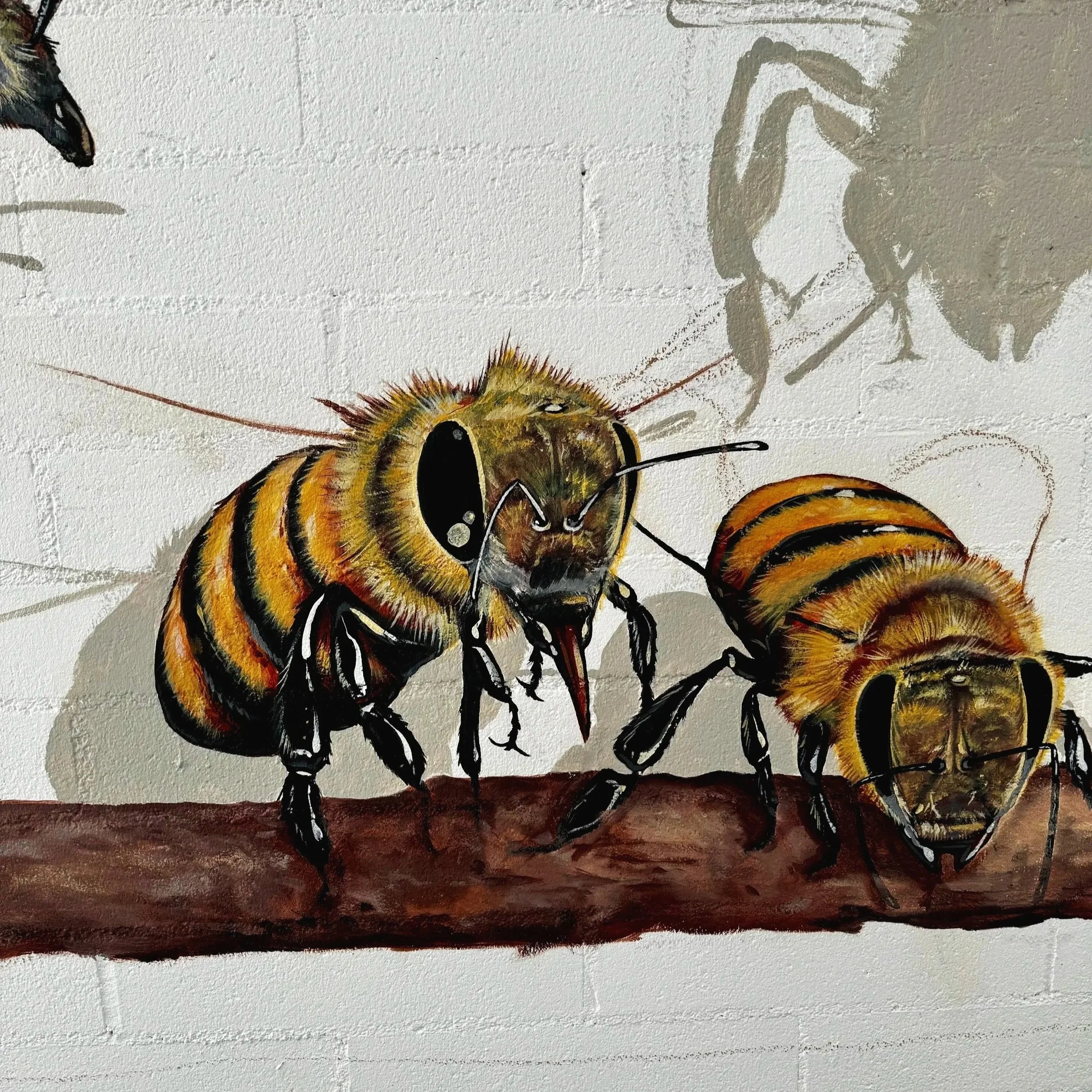 Mural collaboration with Matt Willey, located in Laguna, CA.
