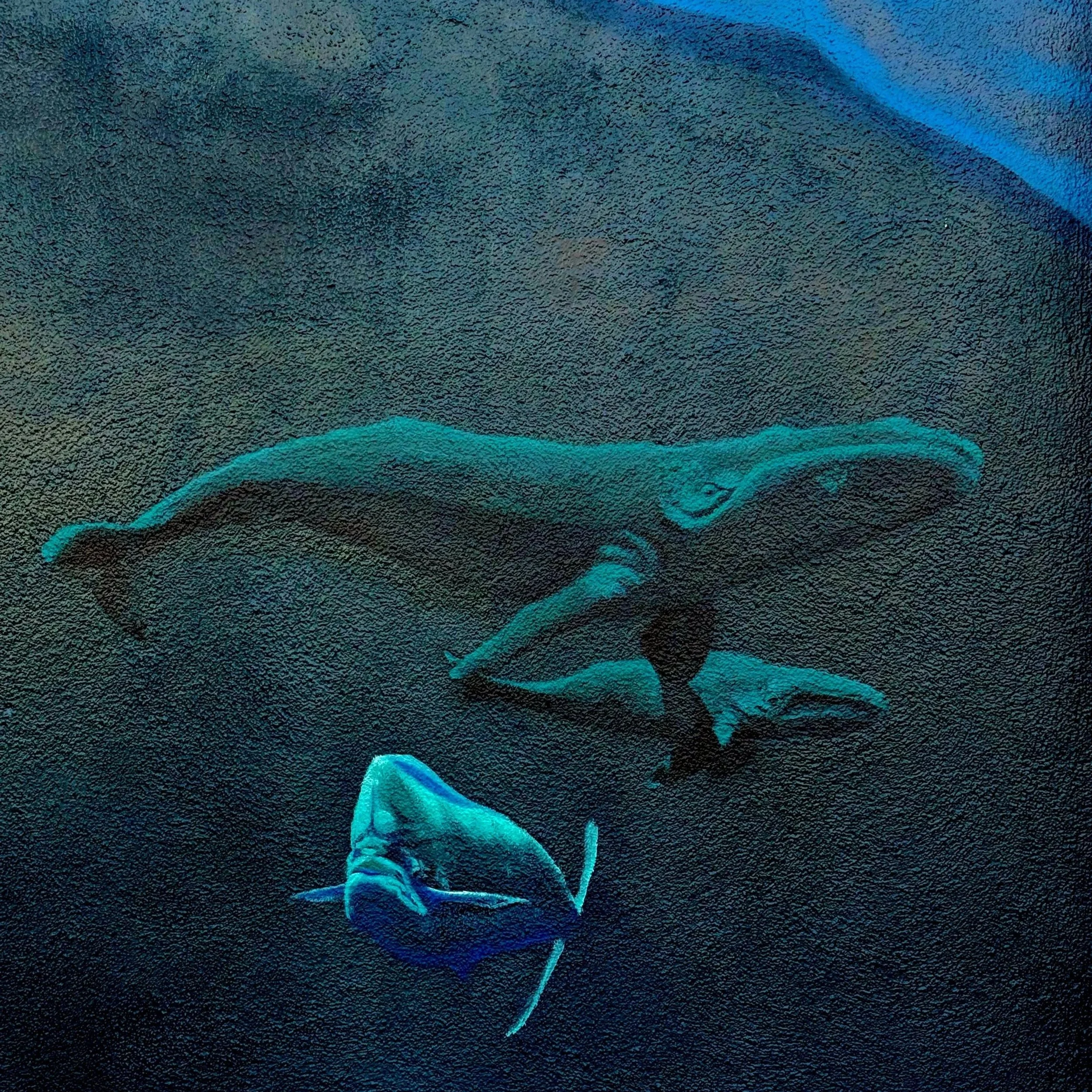 Mural collaboration with Hanif Panni, located in Monterey, CA.