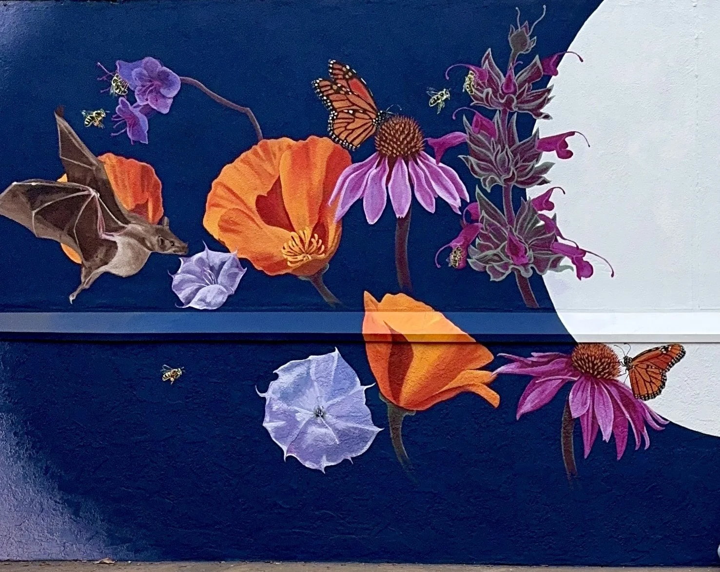Hope Grows Wild, mural by Orielle Anais located in Santa Barbara, CA