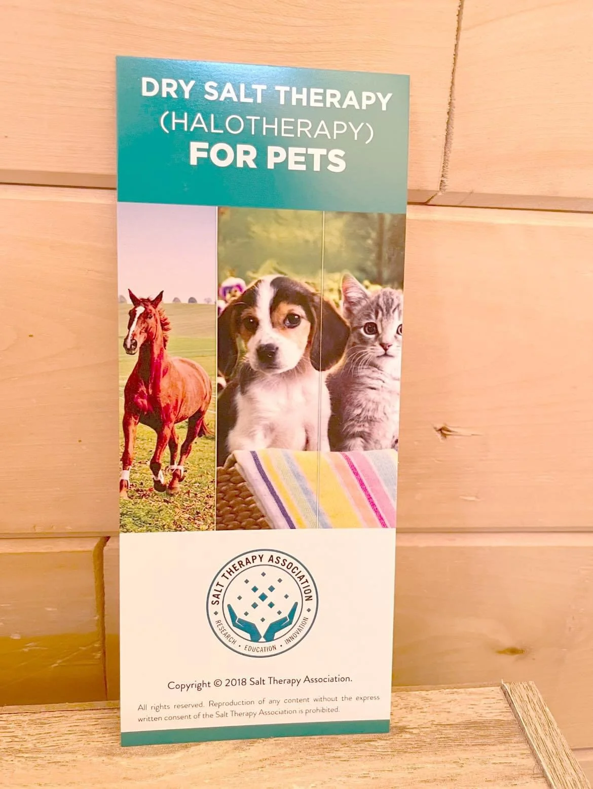 Brochure titled 'Dry Salt Therapy (Halotherapy) for Pets' featuring images of a horse, a puppy, and a kitten. Contains a Salt Therapy Association logo and copyright information from 2018.