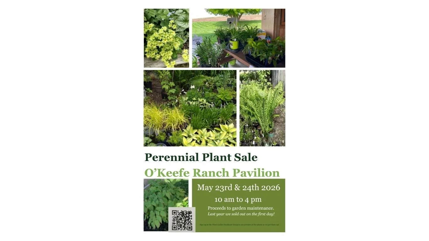Perennial Plant Sale