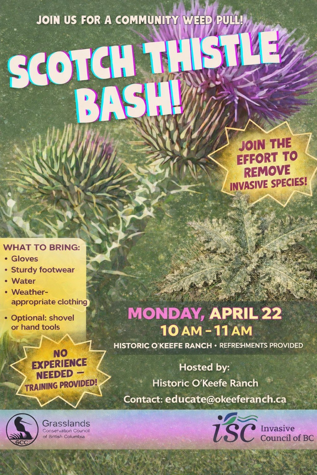 Scotch Thistle Bash