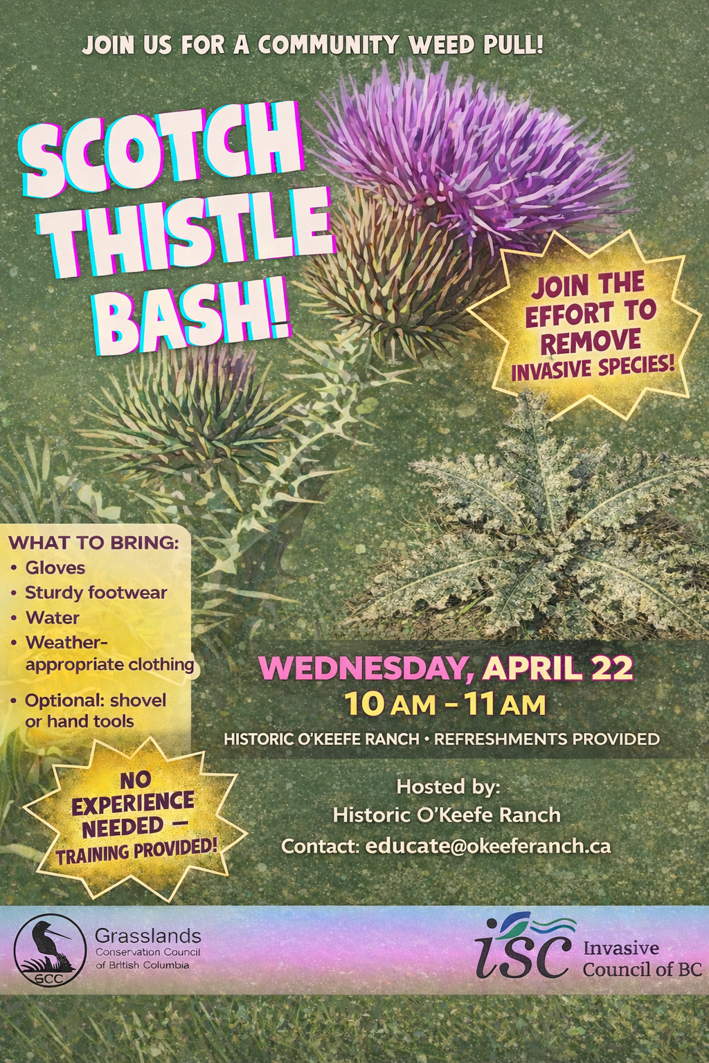 Scotch Thistle Bash