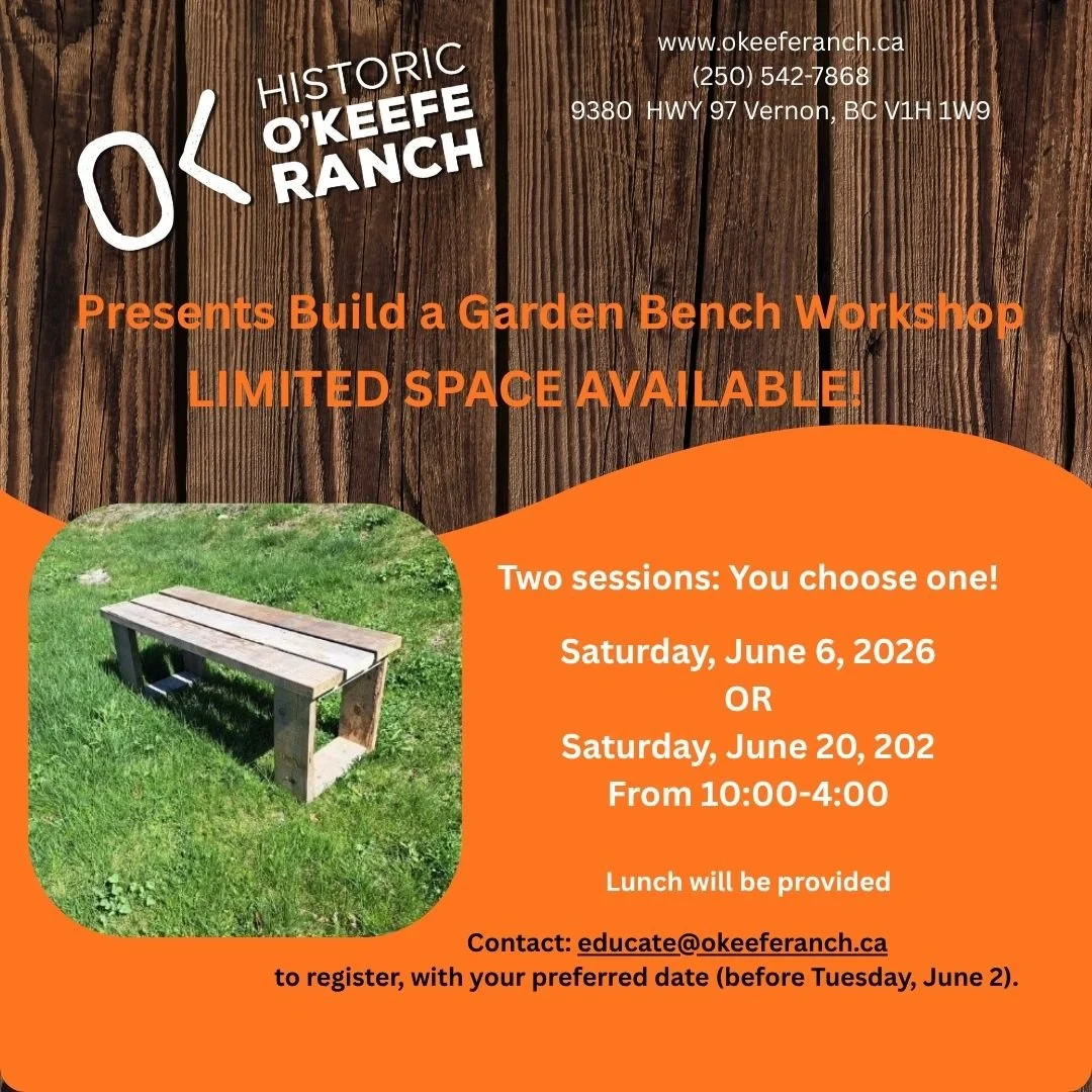 Build a Garden Bench