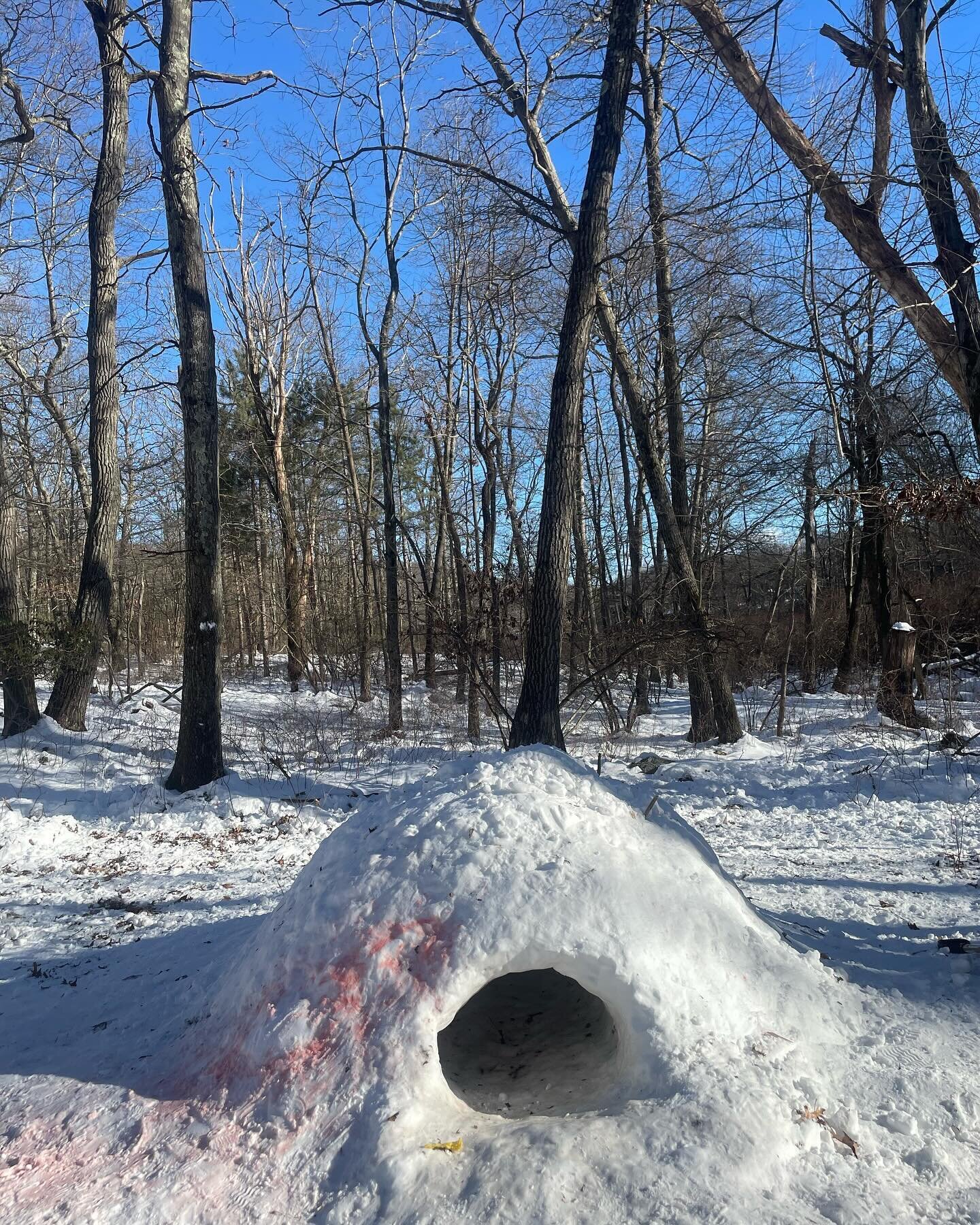 Teen Winter Skills Weekend!
.
Snowy wonders, friction fires, buckskin sewing projects, primitive trapping, tracking, gait studies, and so much more - all polished up with laughter and comradery ! 
.
Learning the ways of the winter together was such a