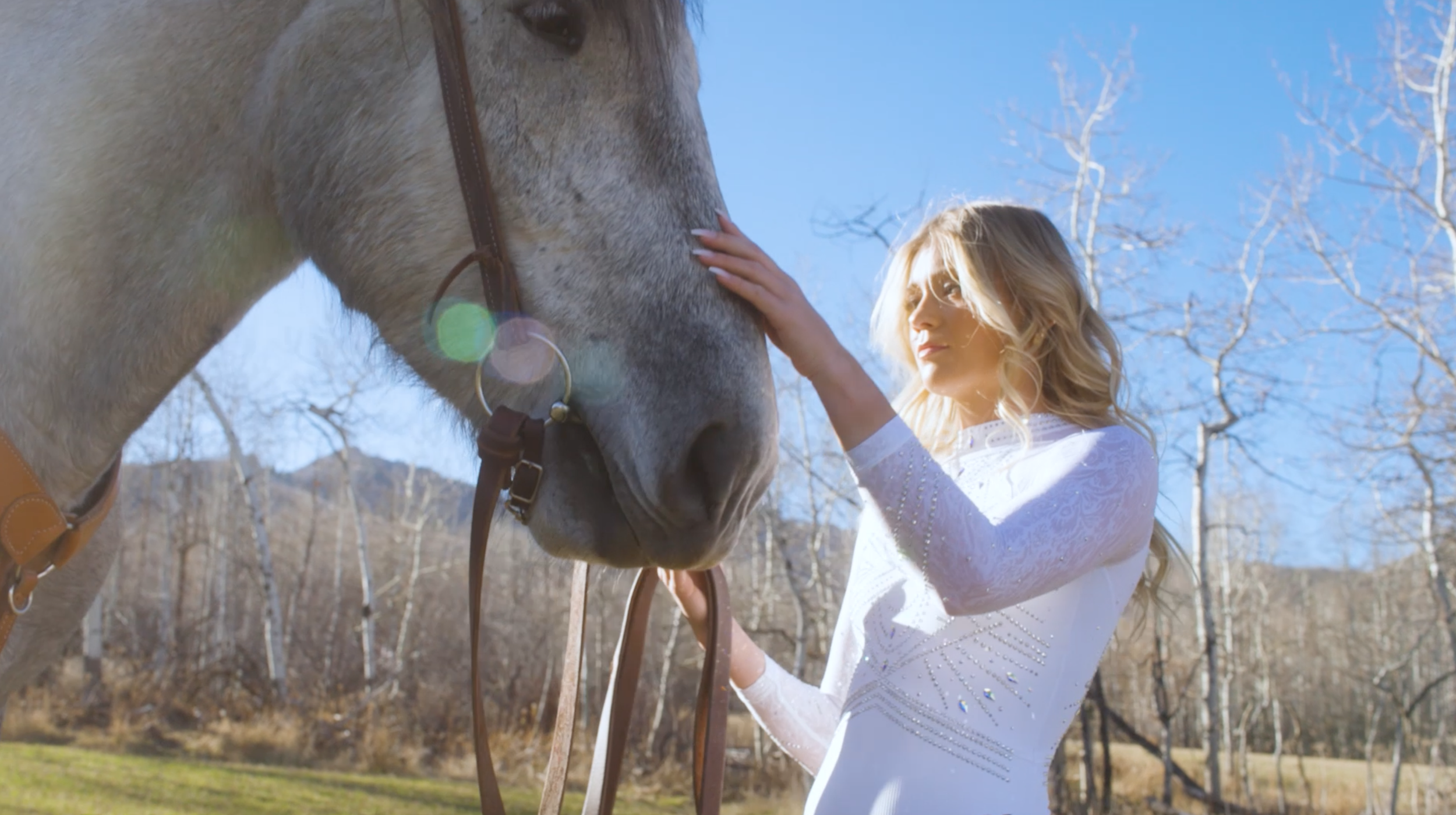 Screenshot 2026-01-15 at 2.36.06 PM.png