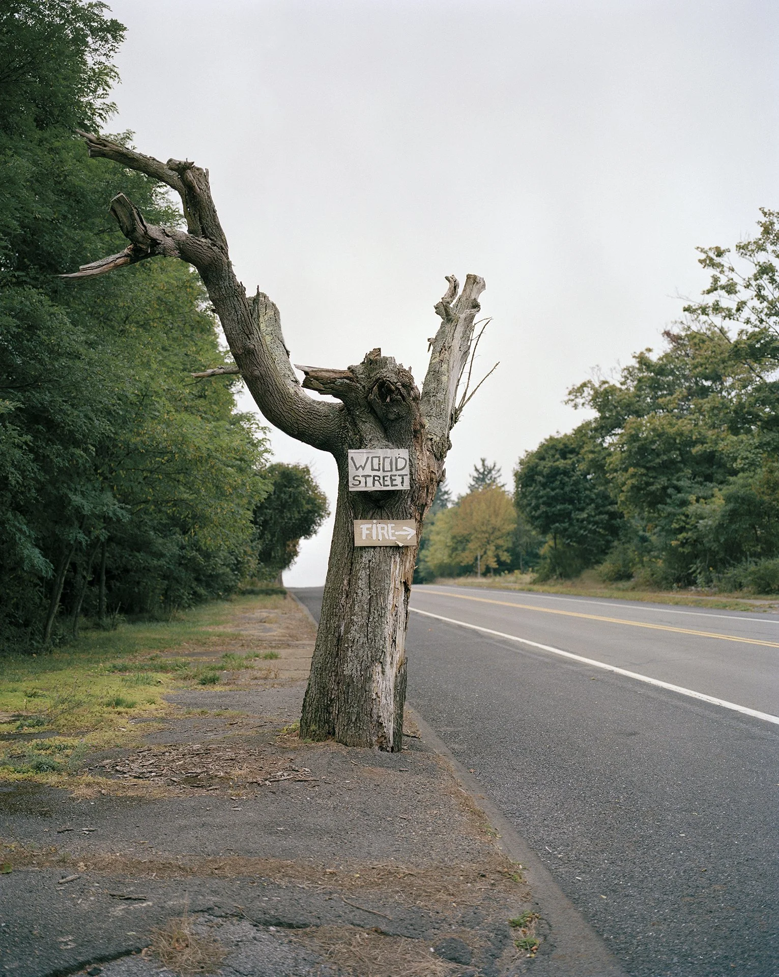 15 wilson matthew 03.jpg