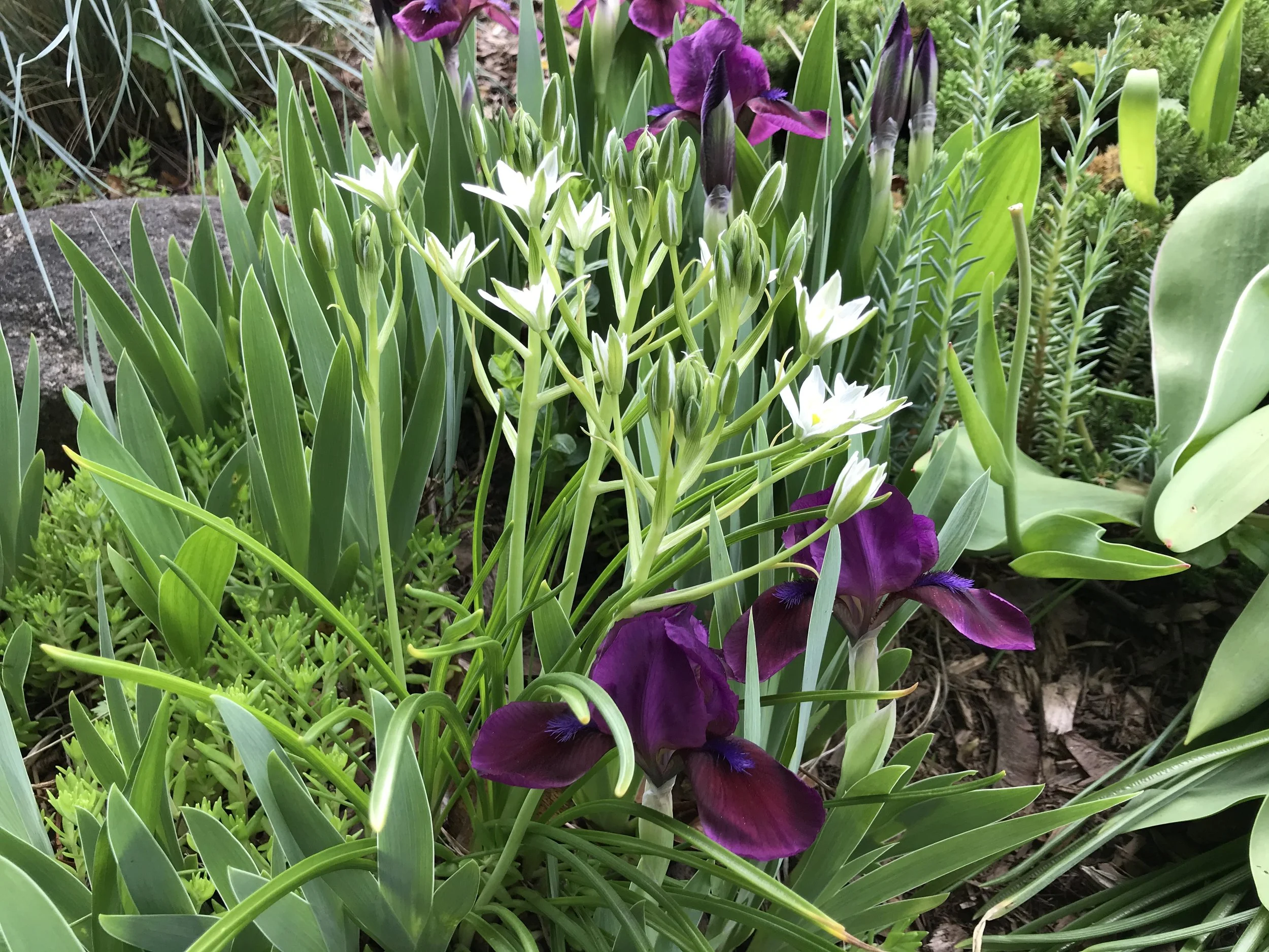 2020-05-28 10.03.24.jpg