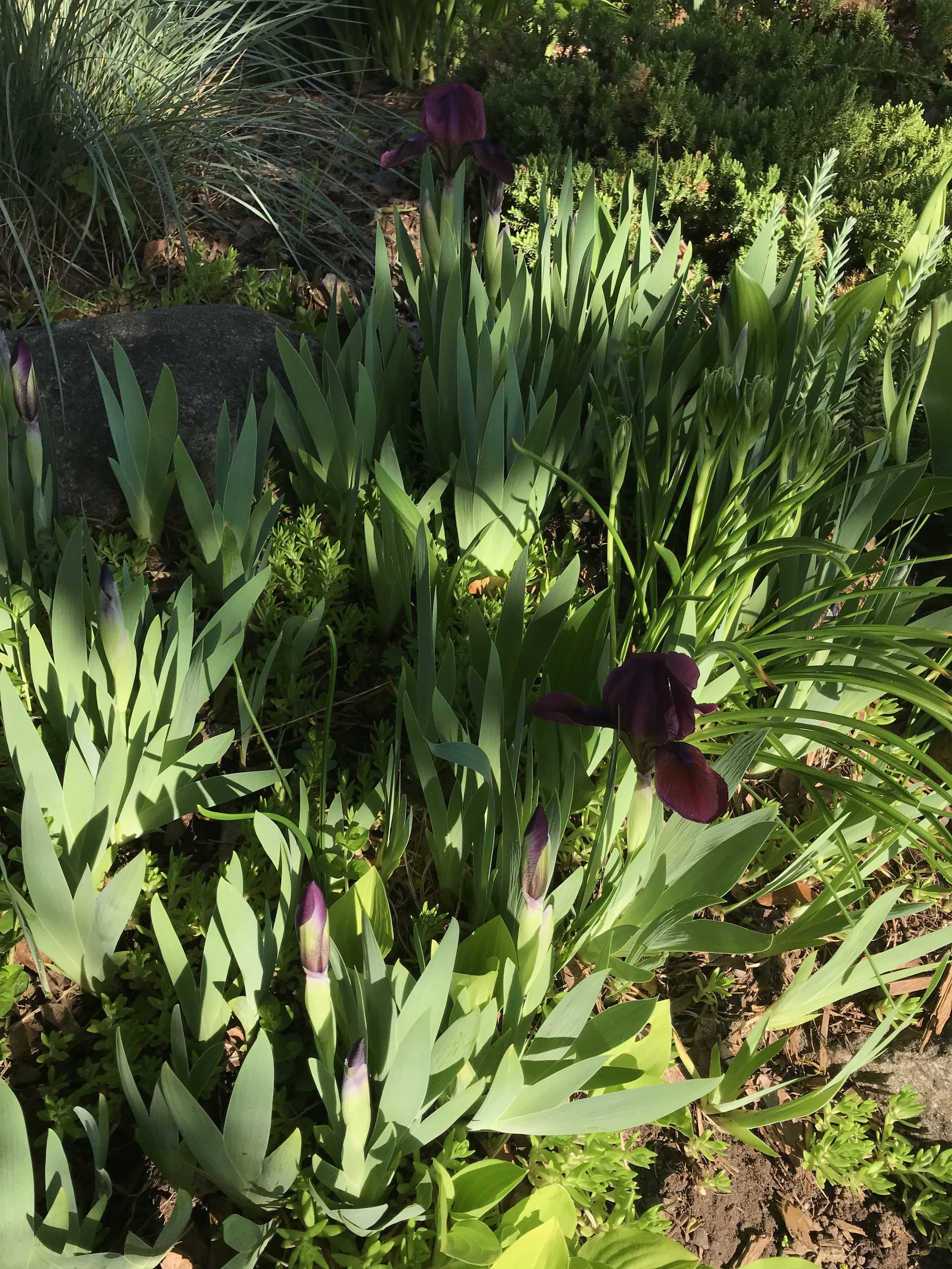 2020-05-26 19.04.16.jpg