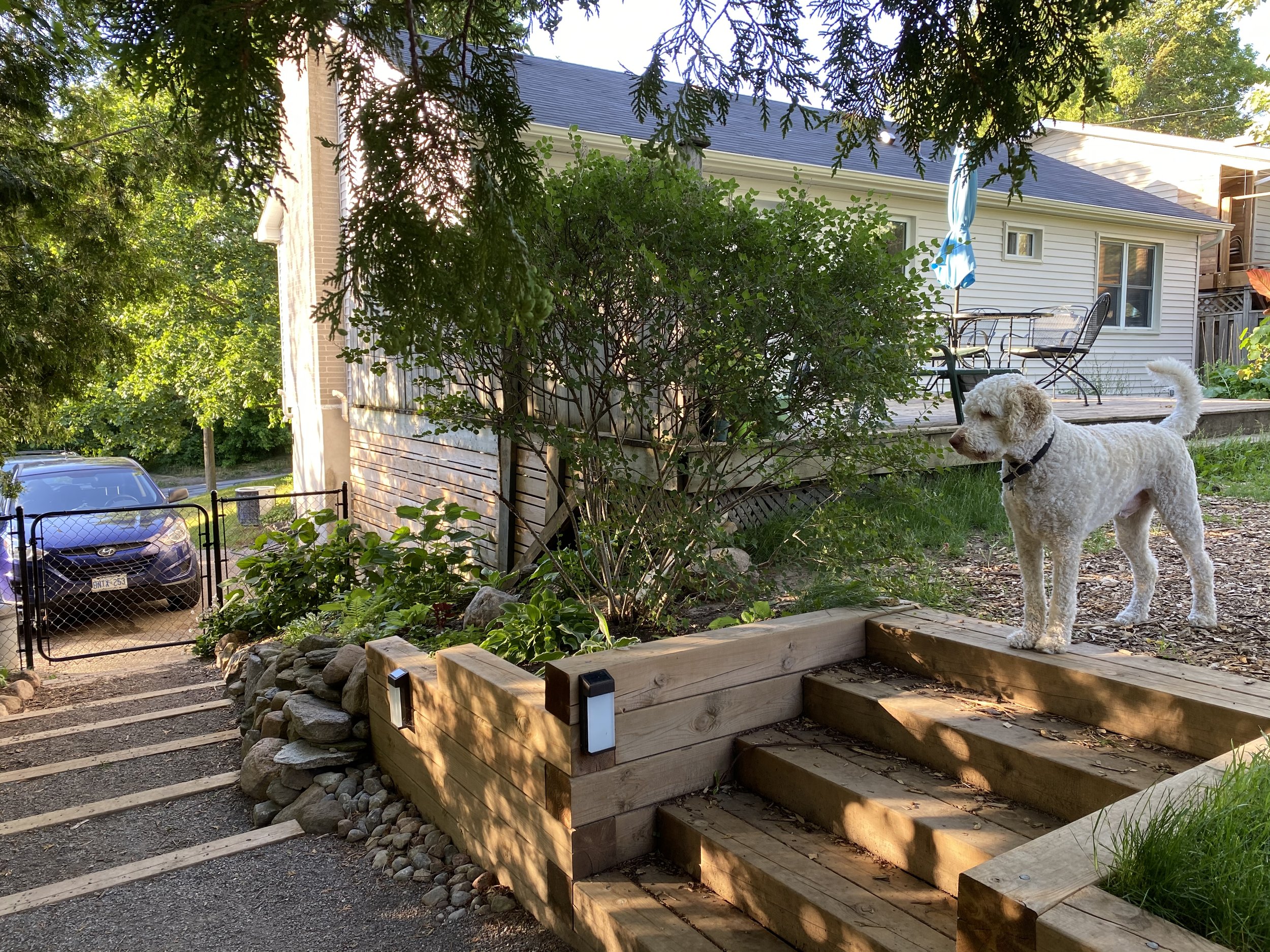 2021-06-21 19.21.06.jpg