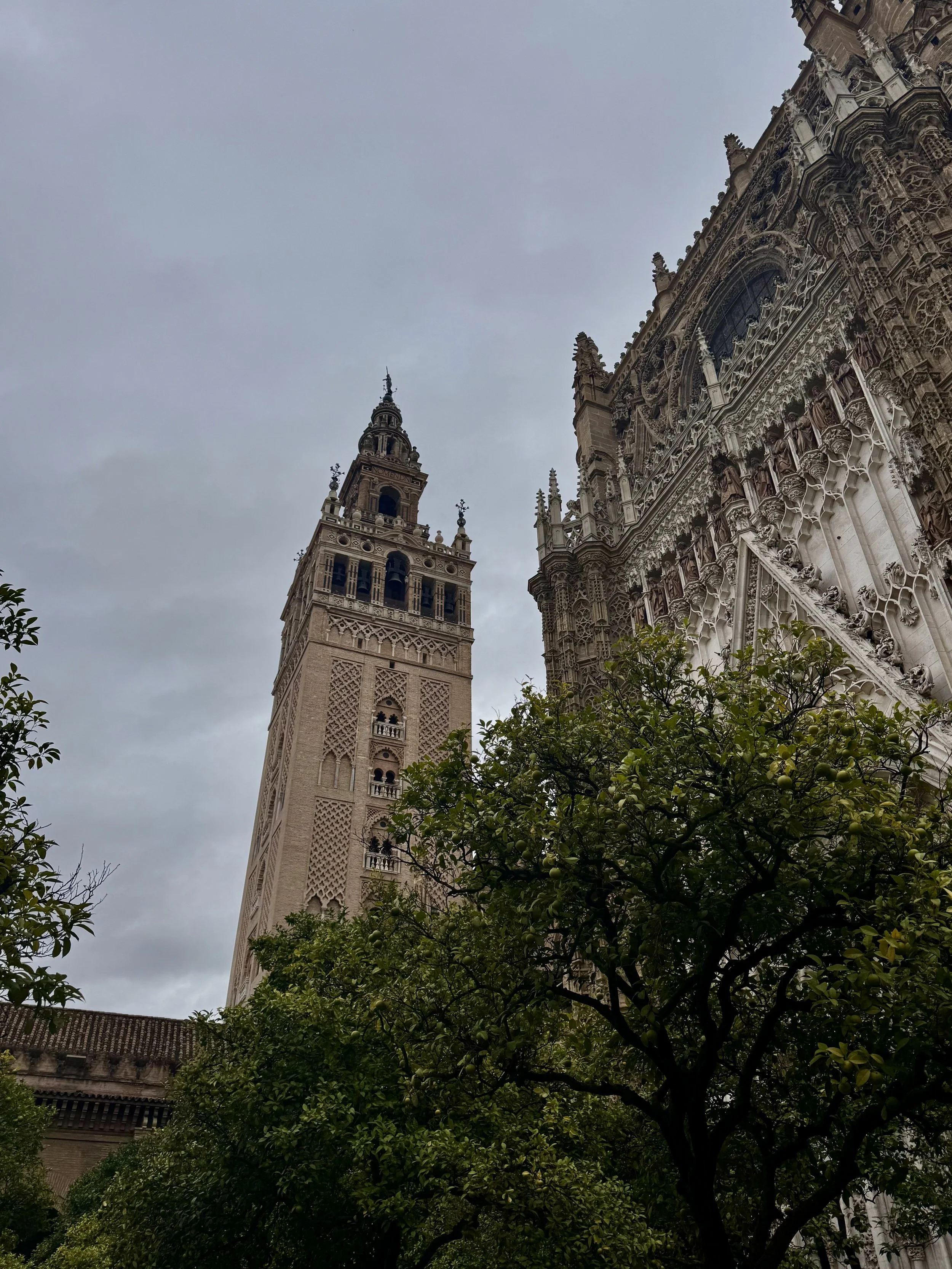 IMG_8518.jpeg