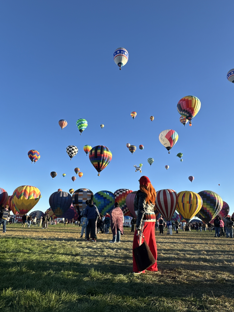 IMG_2025_10_05-07_44_02_7160_B2935509 Large.png