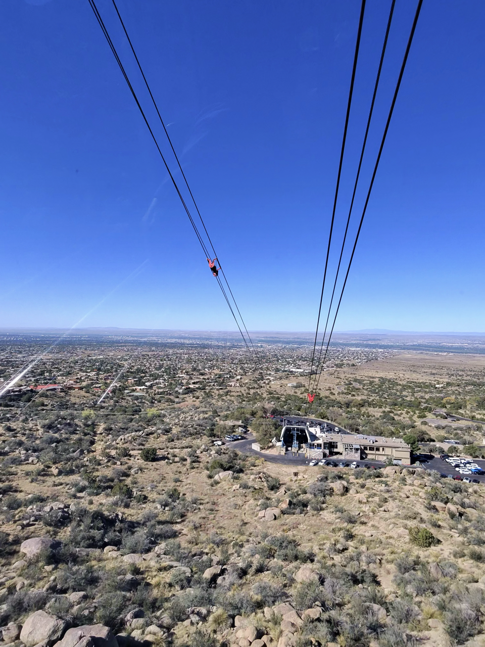 photo-2923_singular_display_fullPicture Large.png