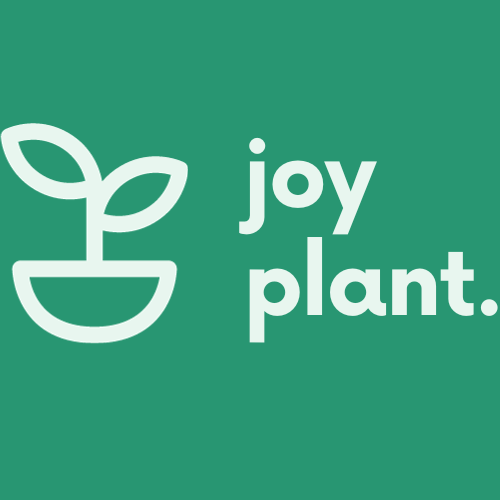 The Joy Plant