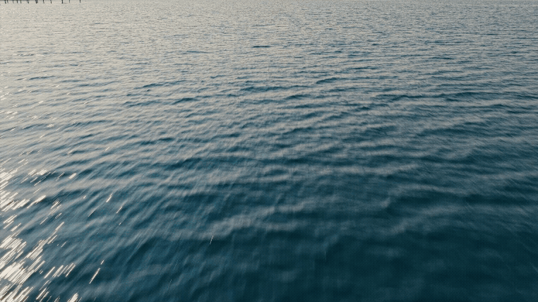 COASTAL COMMUNITY BANK | BRAND FILM