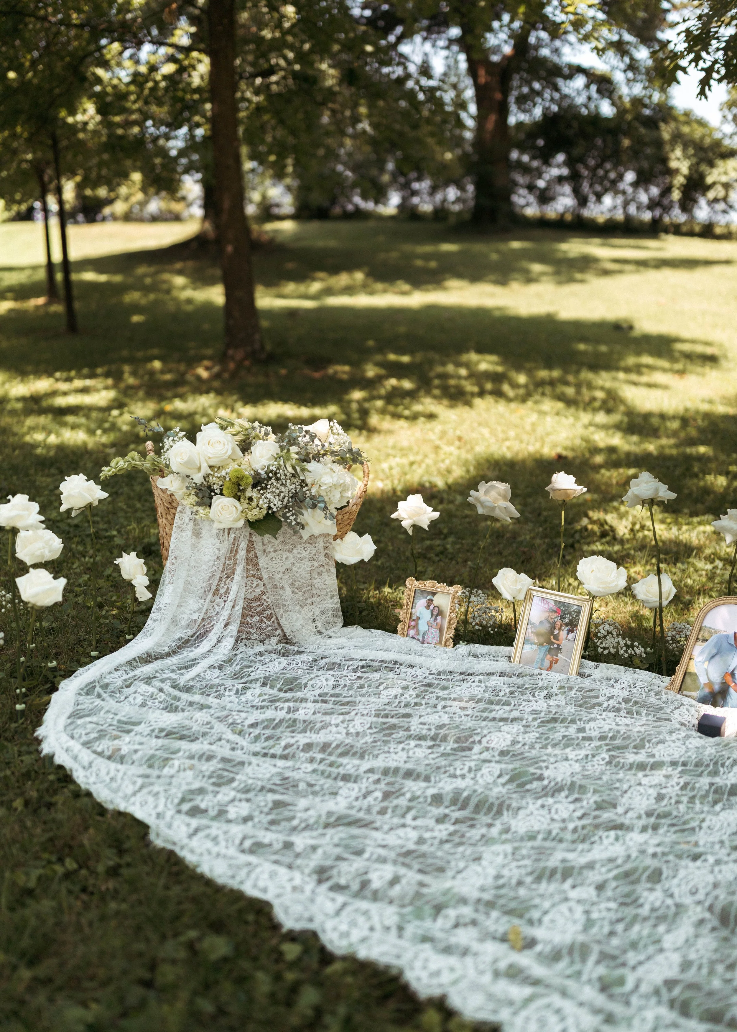 A proposal set up on a farm in Kentucky that entails a veil, framed photos of the couple and an abundance of white roses.