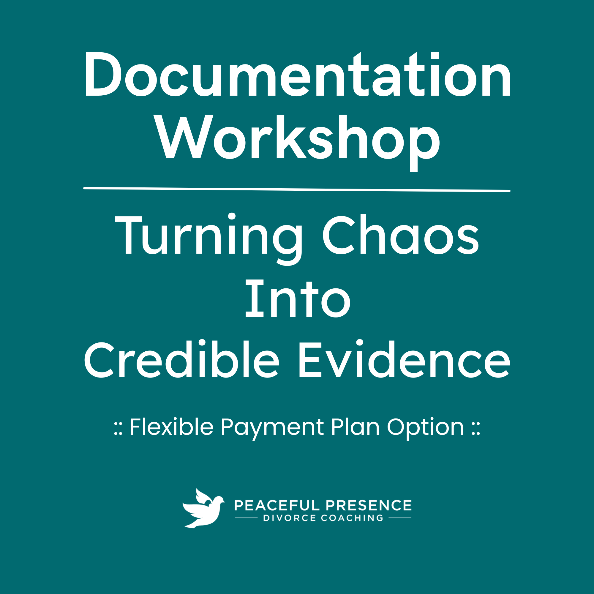 Documentation Workshop Payment Plan Product.png