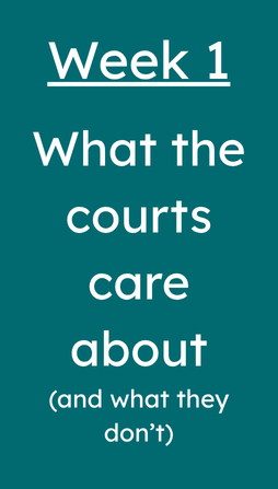 Peaceful Presence Divorce Coaching Documentation Workshop Week 1