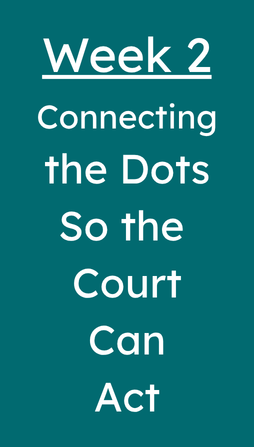 Week 2 - Connecting the Dots So the Court Can Act