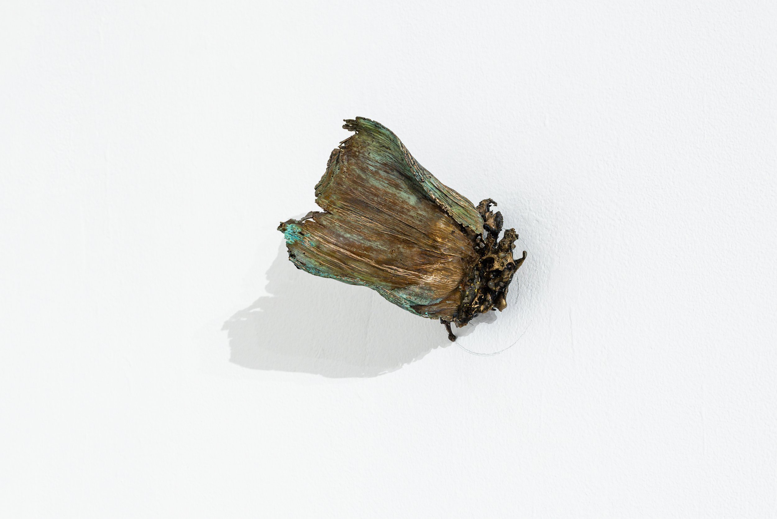 Agave Fragment,
Cast bronze, 2023
6 x 1 x 5.5 inches