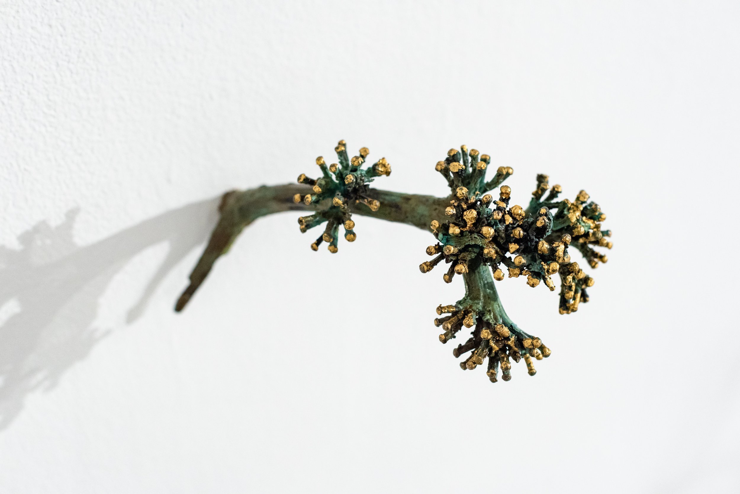 Agave Fragment II,
Cast bronze, 2023
6 x 3.5 x 4.5 inches