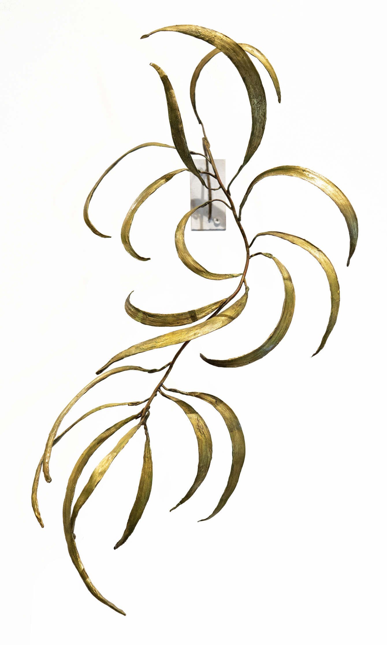 Koa Phyollodes,
cast bronze koa leaves, patina, 2019
17 x 9 x 6 inches