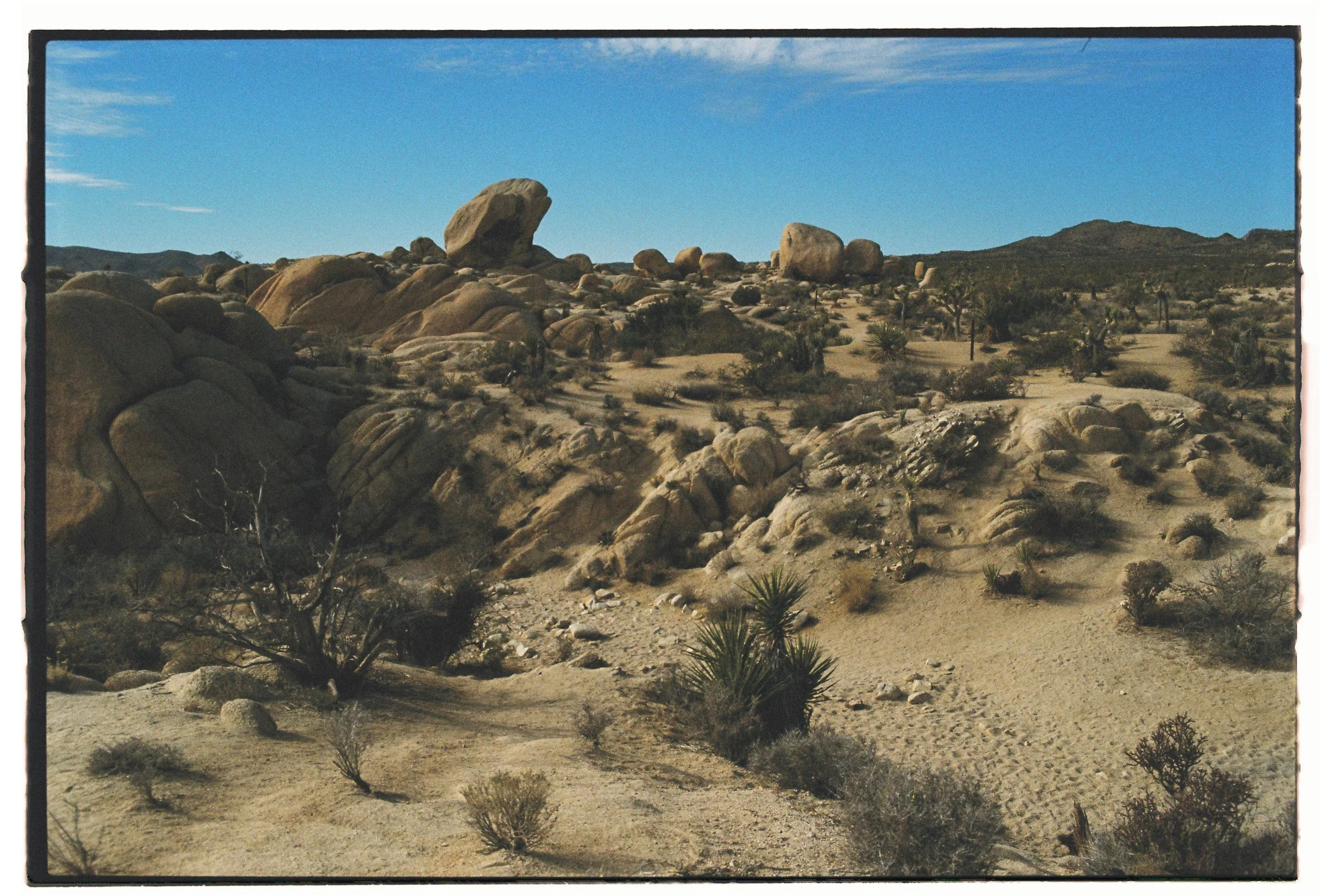 Desert landscape with large boulders, sparse vegetation, and Joshua trees under a blue sky.