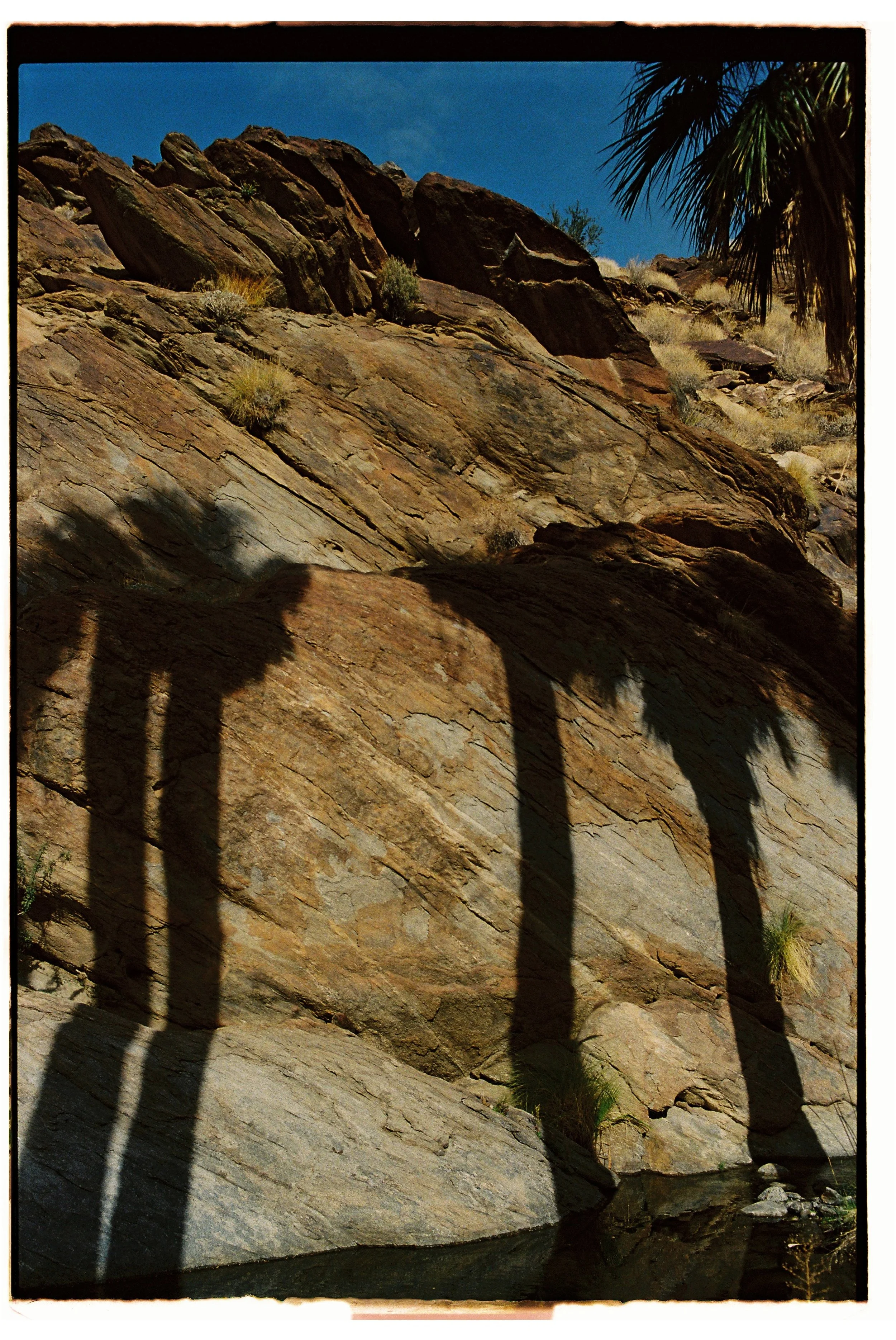 Shadows of a bridge cast on a rocky hillside with sparse vegetation and a palm tree, under a blue sky.
