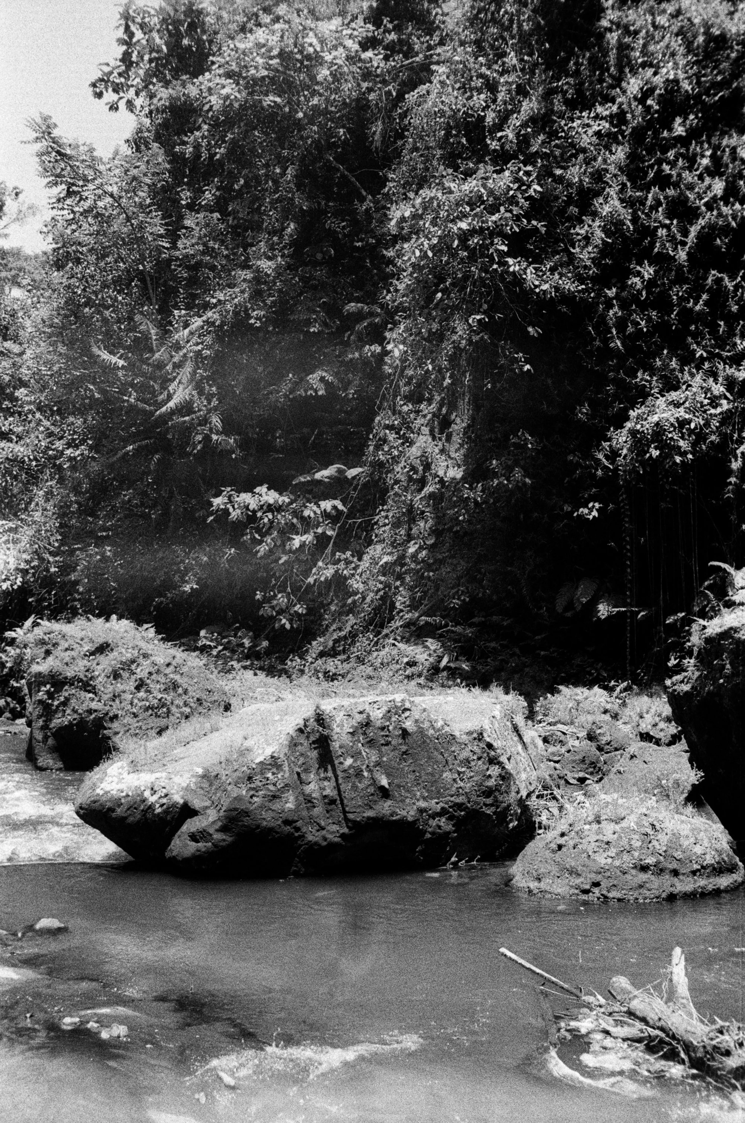 A black and white photo of a rocky river with large boulders, surrounded by dense trees and vegetation.