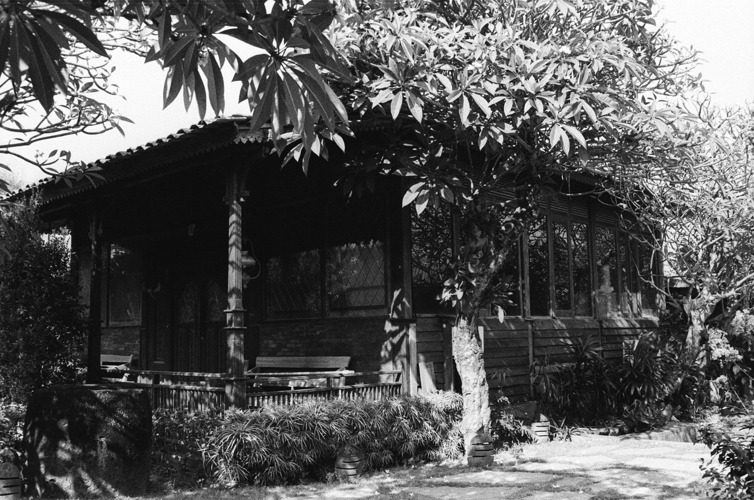 A black-and-white photo of a house surrounded by trees and plants, with a porch, windows, and a tiled roof.