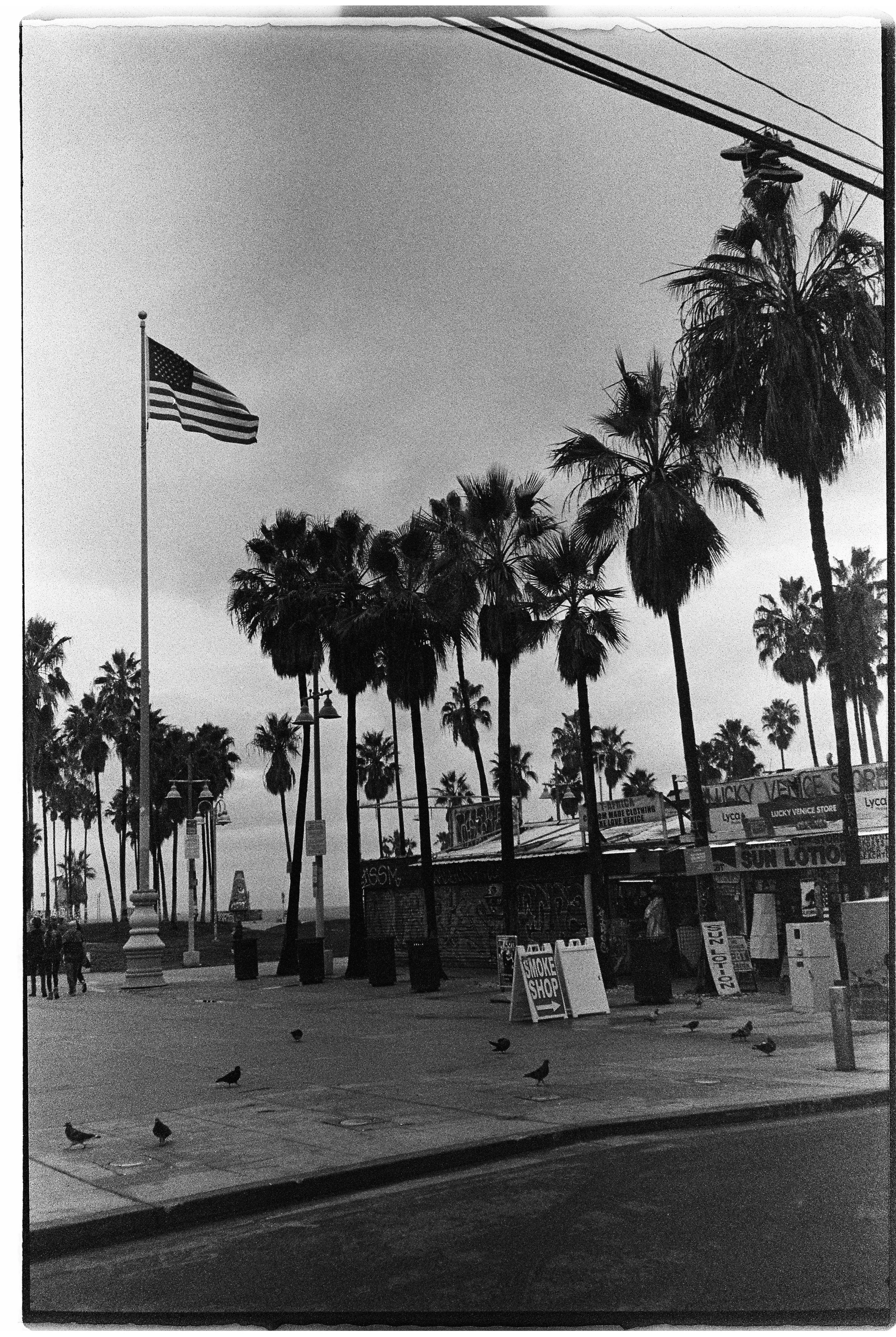 Black and white photo of a sidewalk with palm trees, an American flag, street lamps, and small shops or kiosks.
