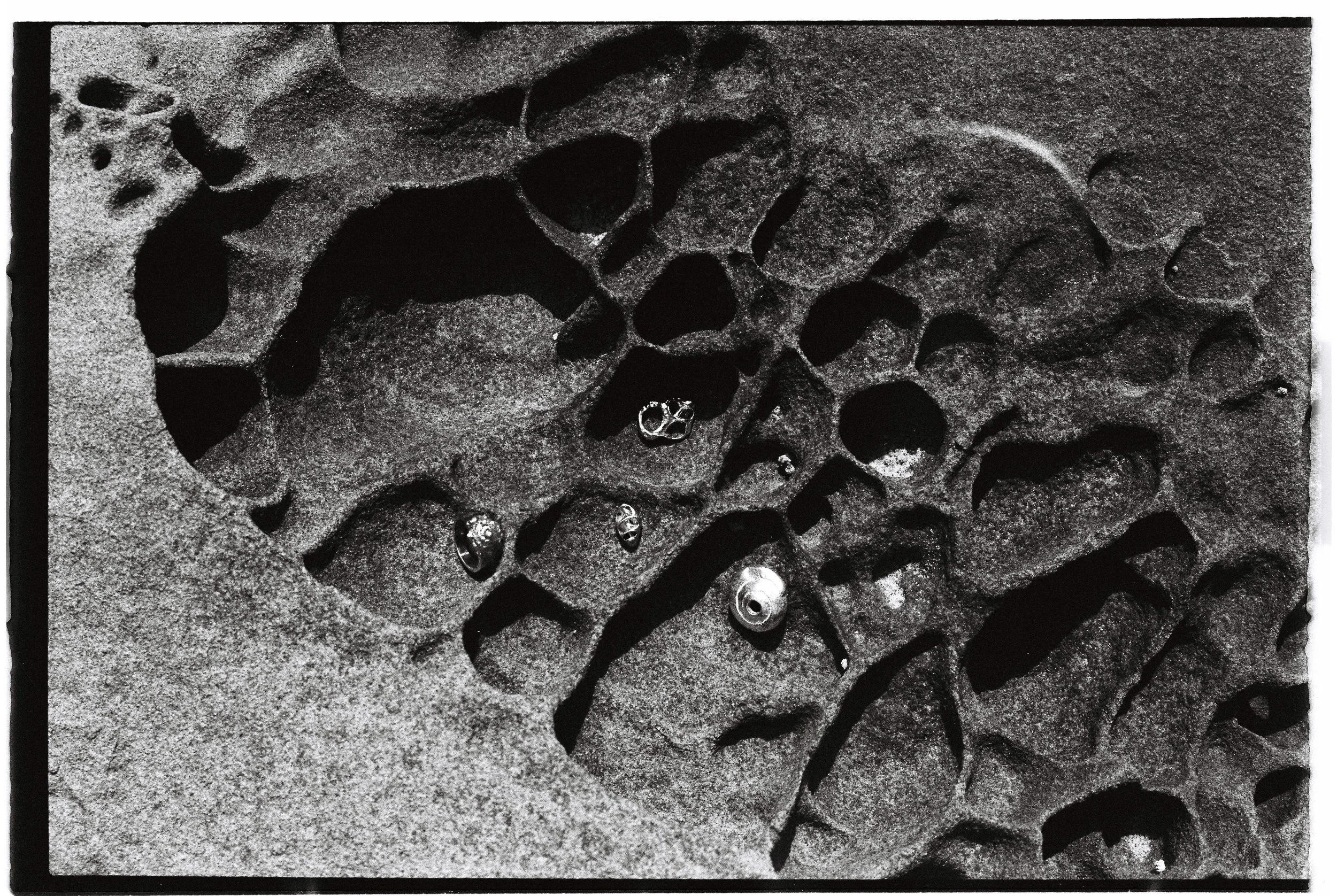 Close-up view of a textured rocky surface with small water droplets scattered across it.