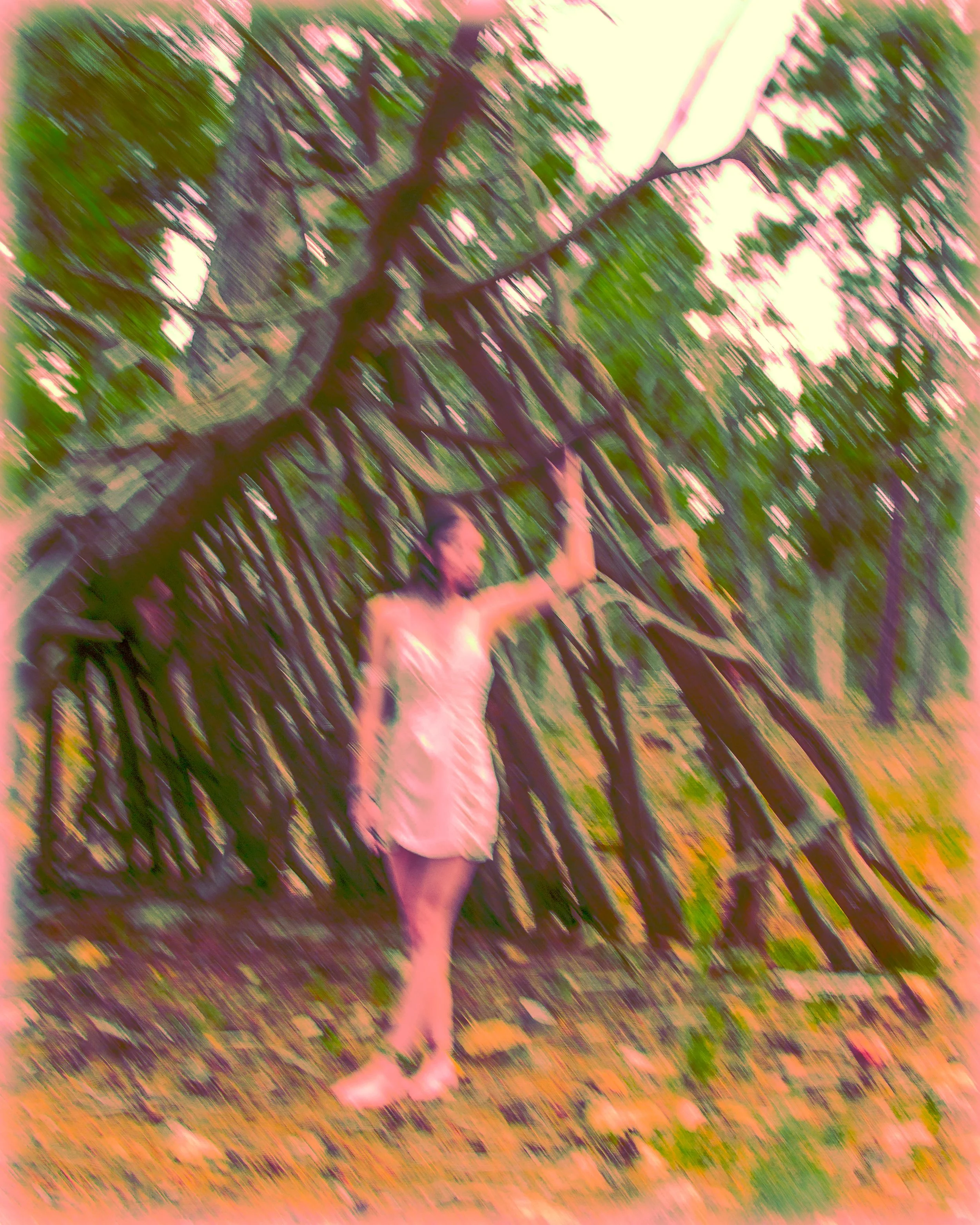 IMG_2919-Edit copy 6.jpg