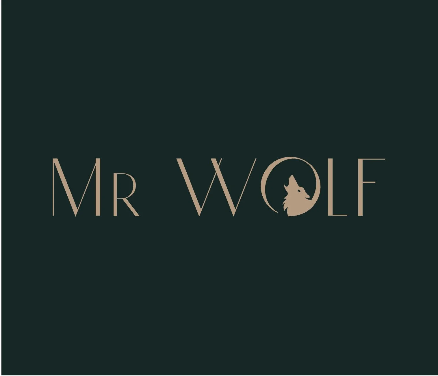 Mr Wolf