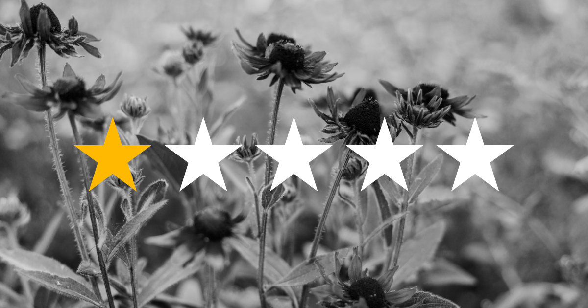 The Unexpected Gift of a Bad Review