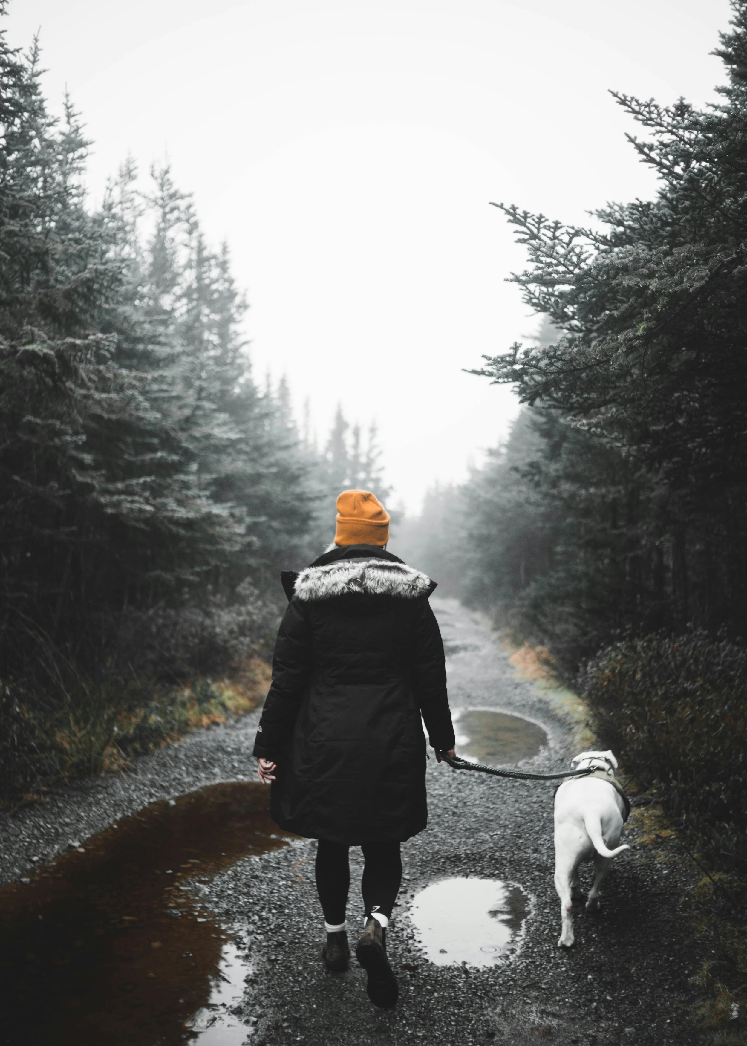 What If Winter Isn't Something to Survive?