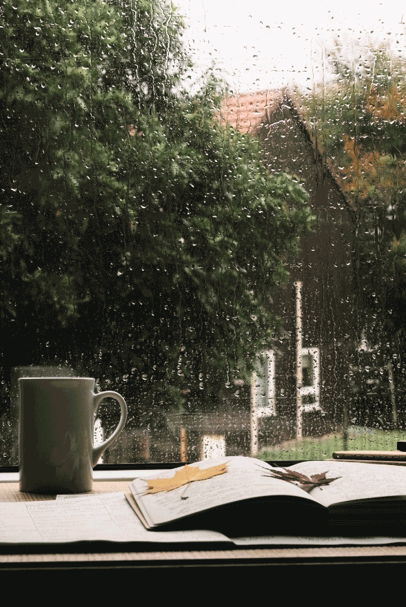 Coffee and book sitting in front of window with rain running down