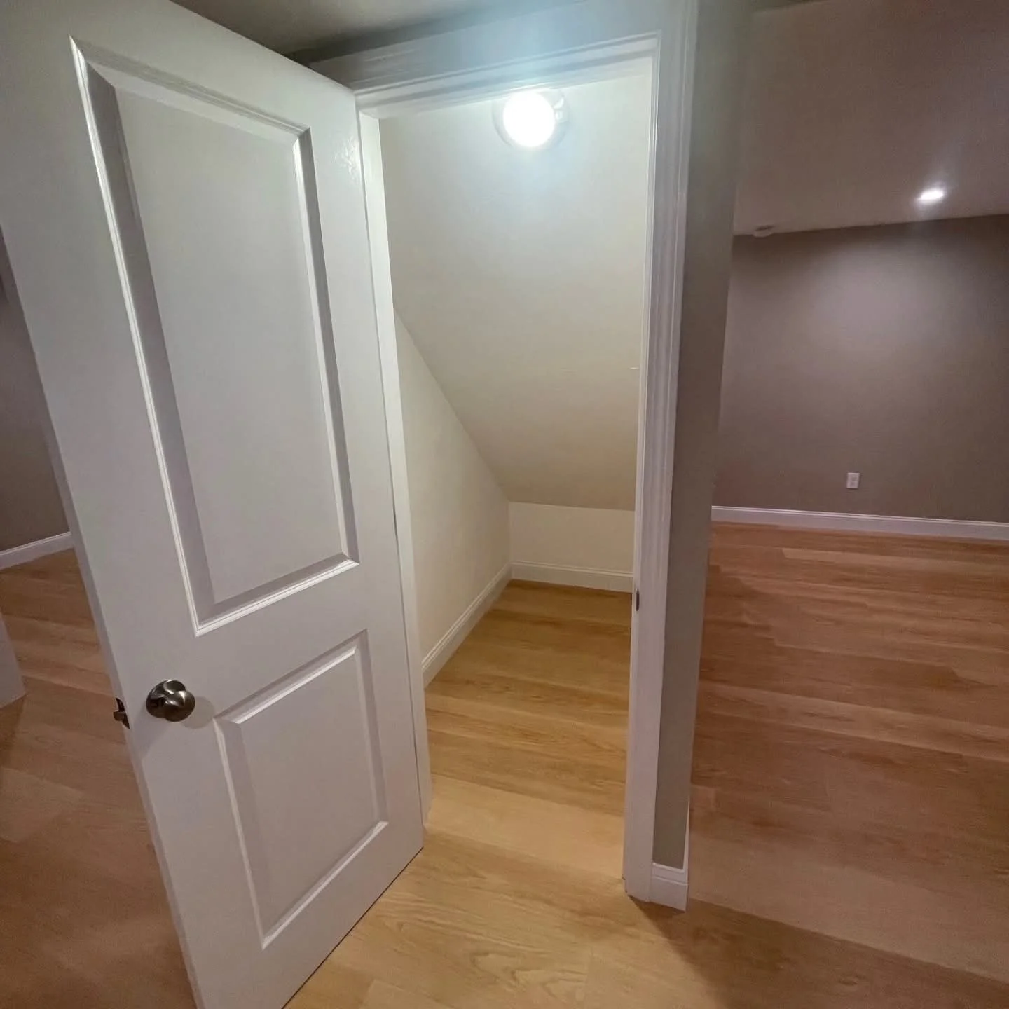 1000032537.jpg