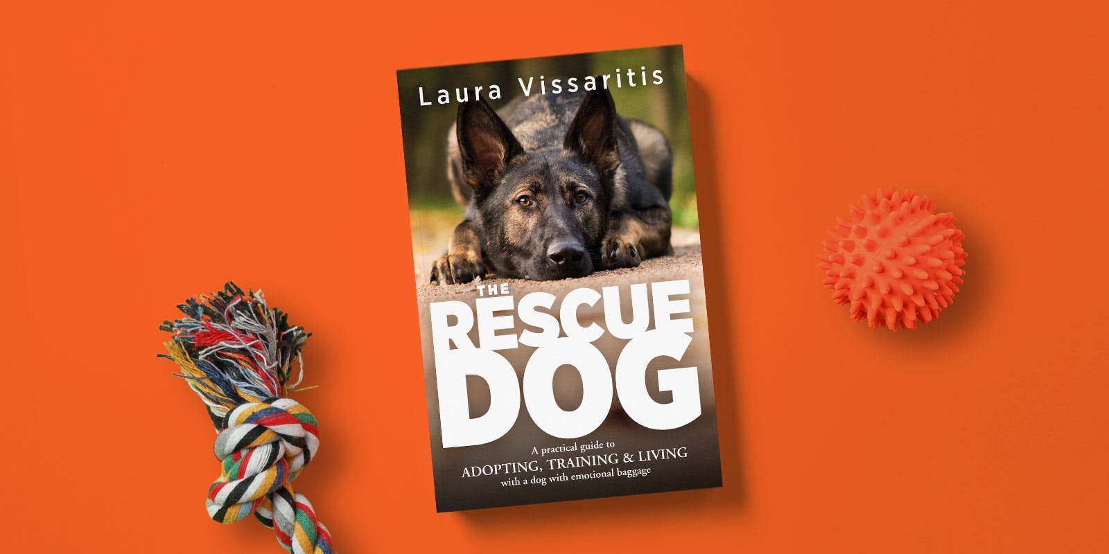TheRescueDog_FacebookPost1_1600x800.jpg