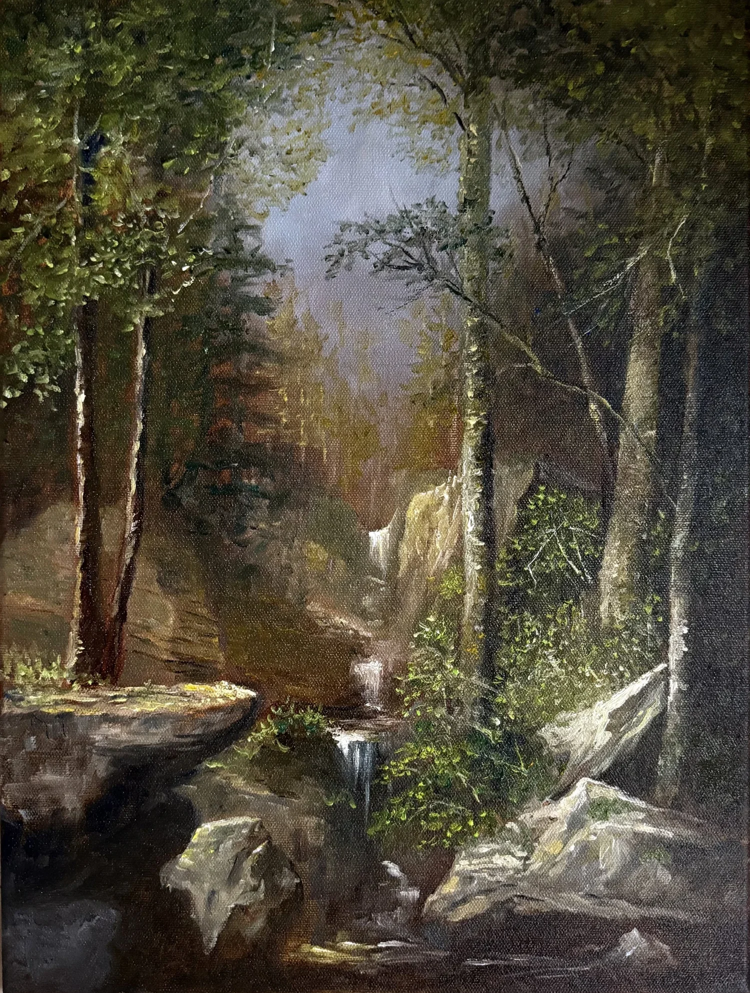 "Hetzel's Gorge" | Oil | 12" x 16" [RESERVED]