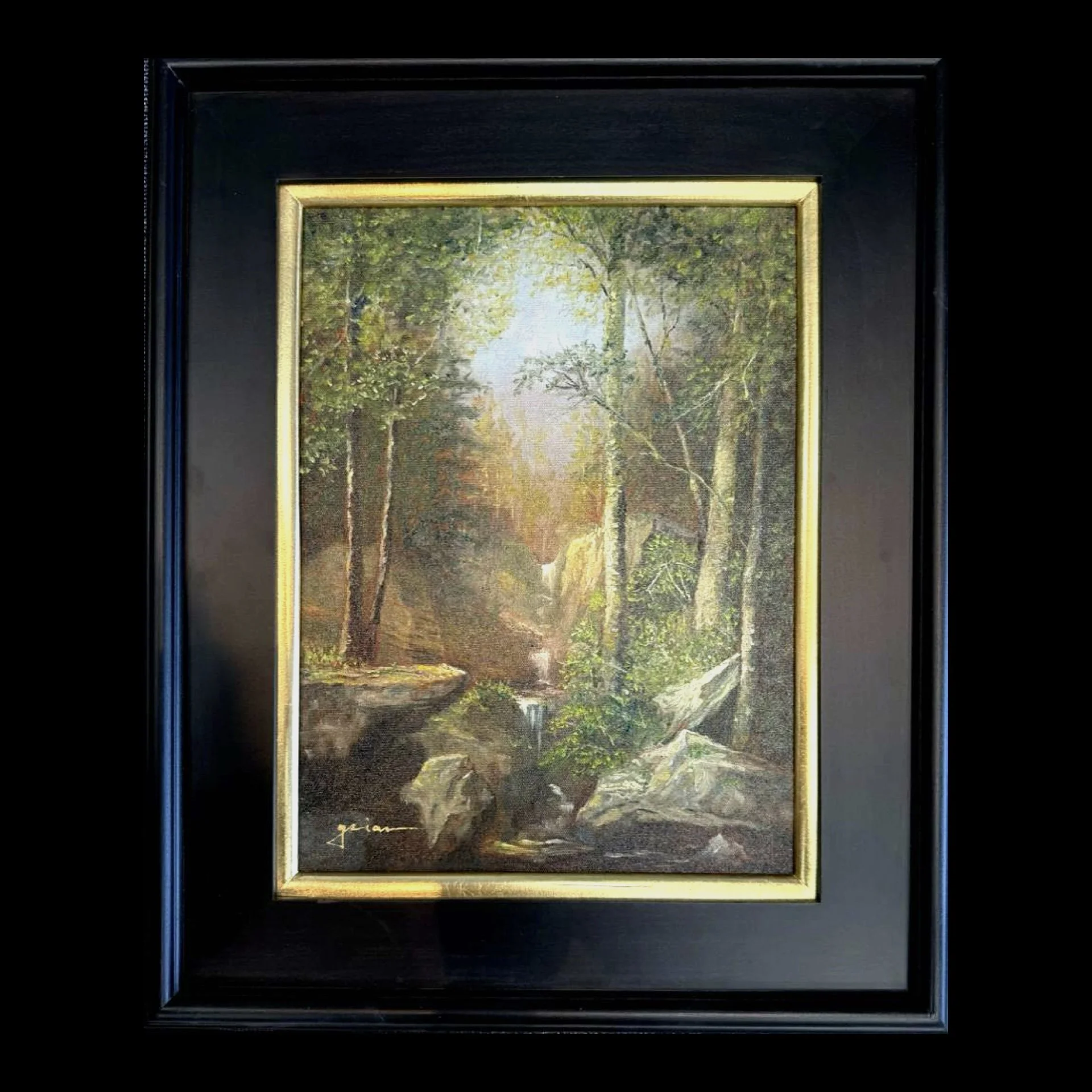 gsianART_HetzelsGorge_Framed.jpg
